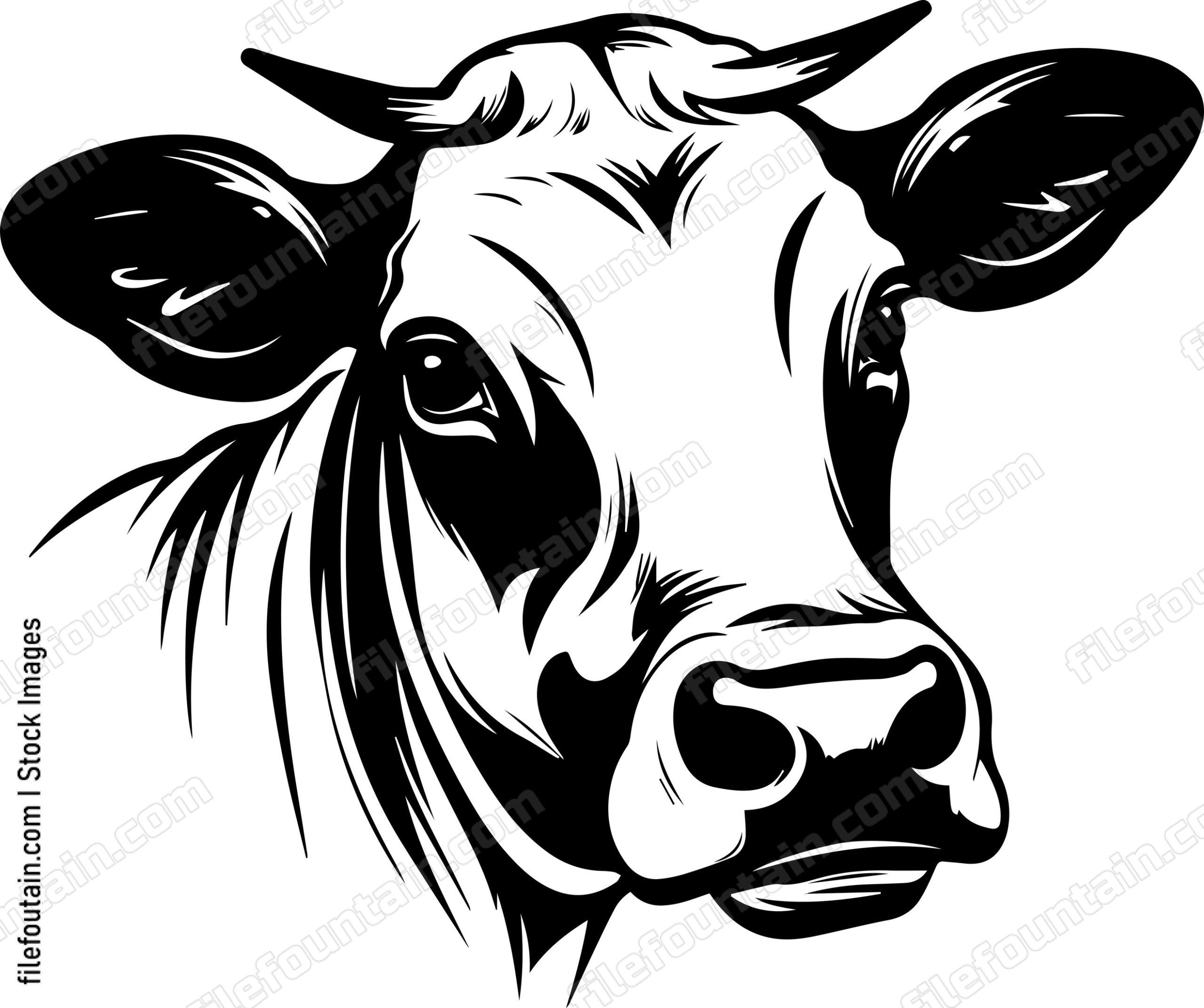 Cow Face