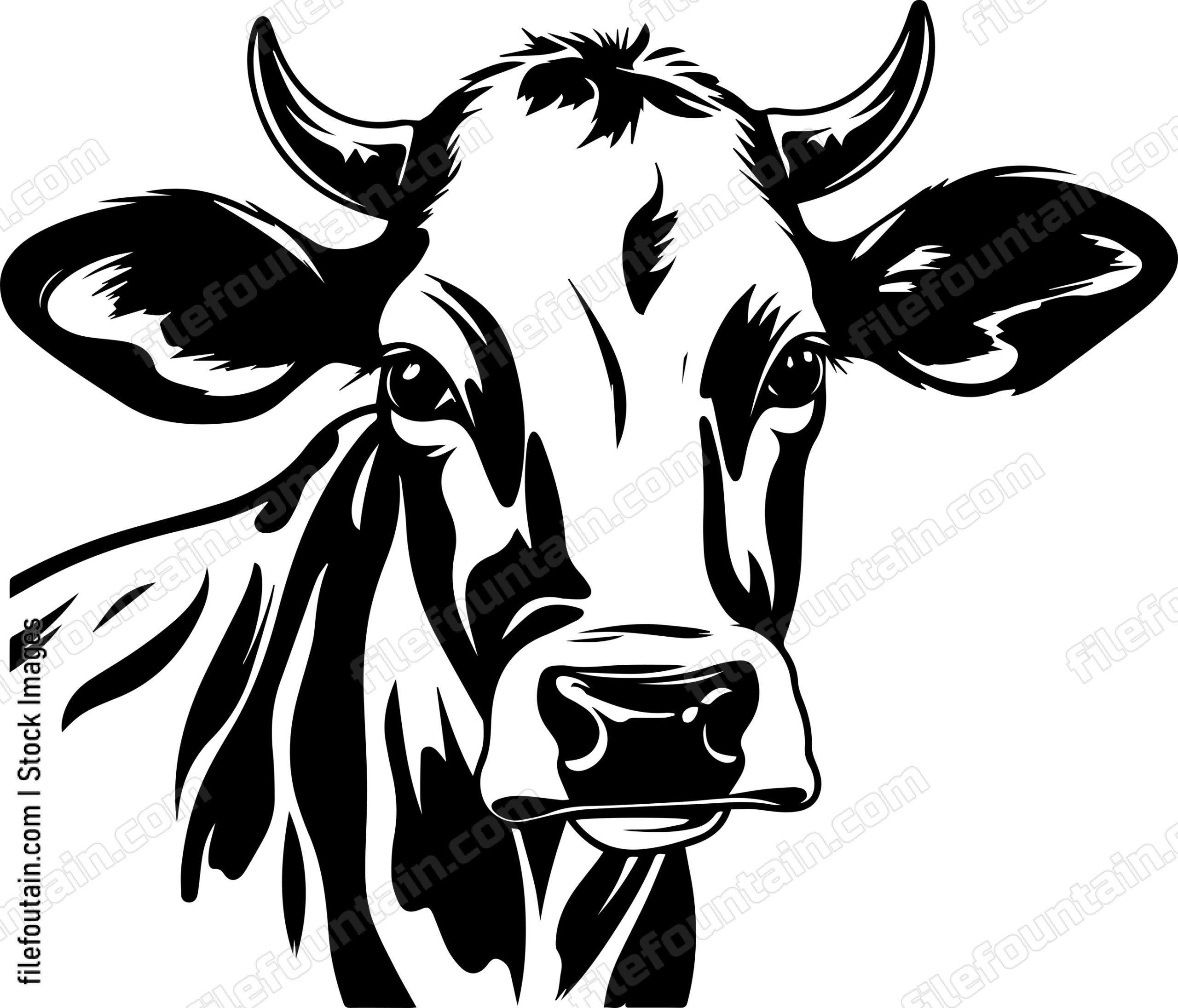 Cow Face