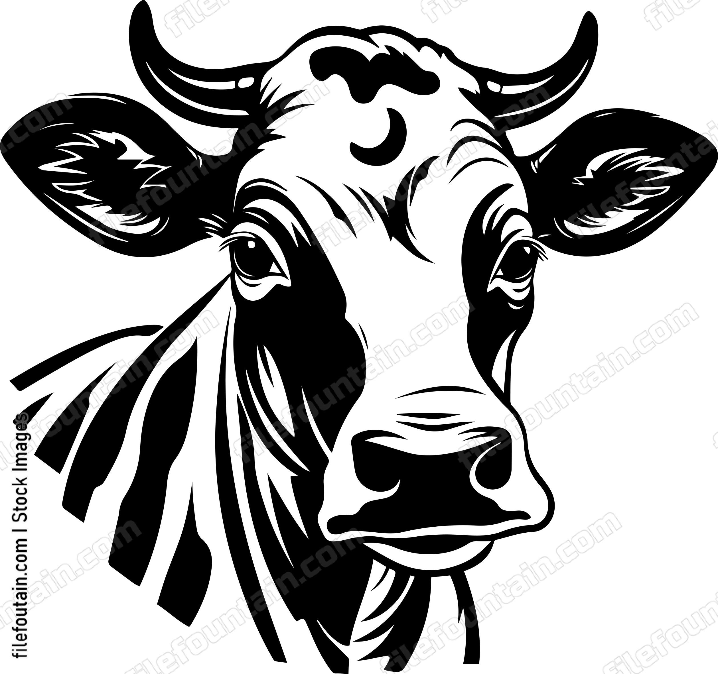 Cow Head