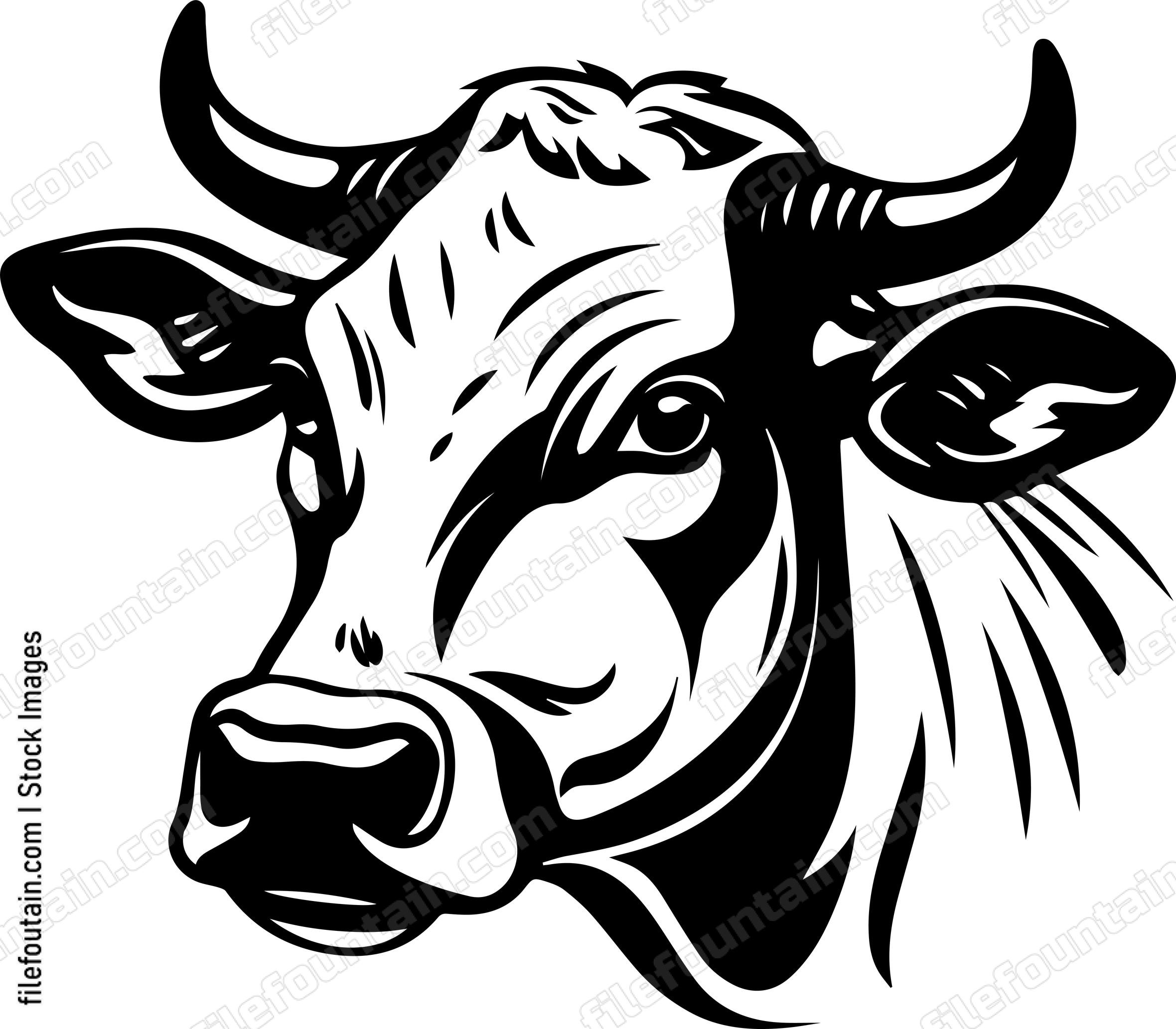 Cow Head