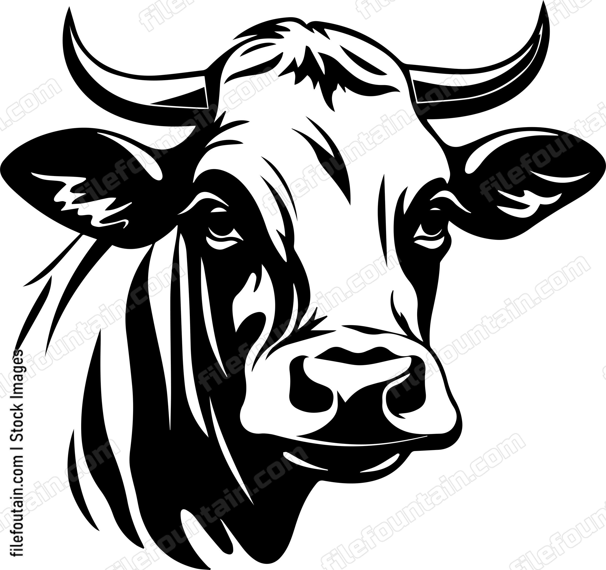 Cow Head