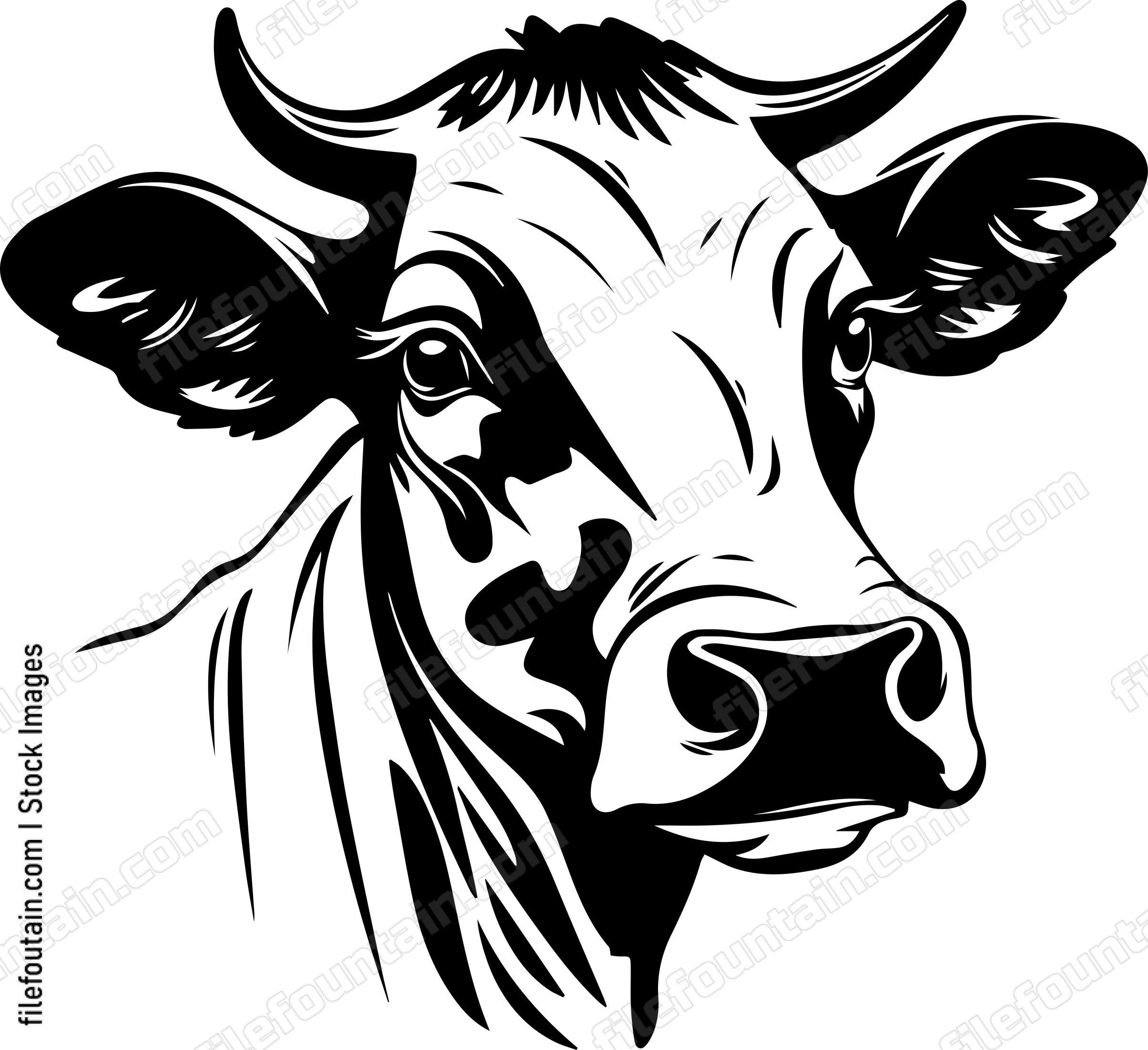 Cow Head