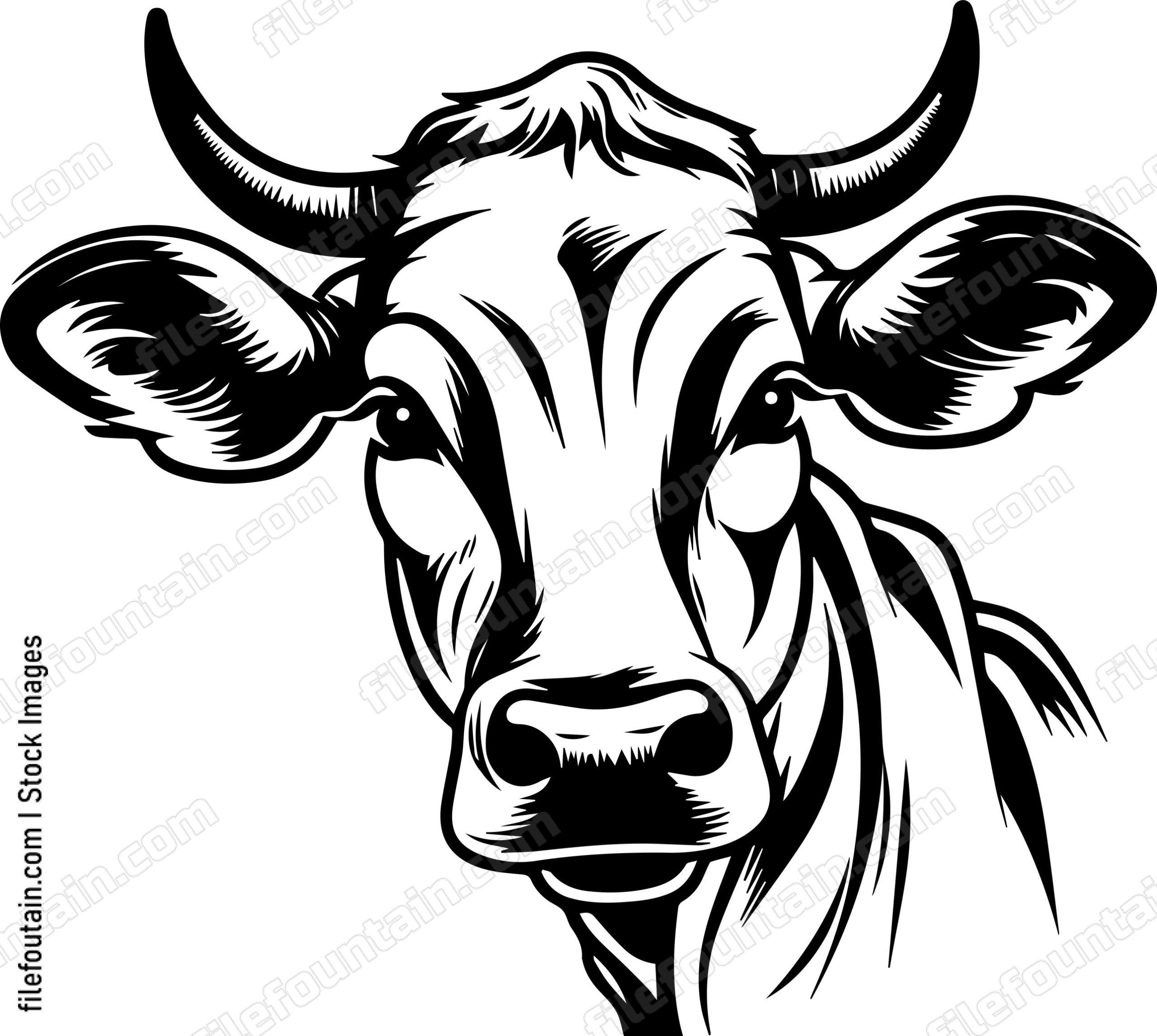 Cow Head
