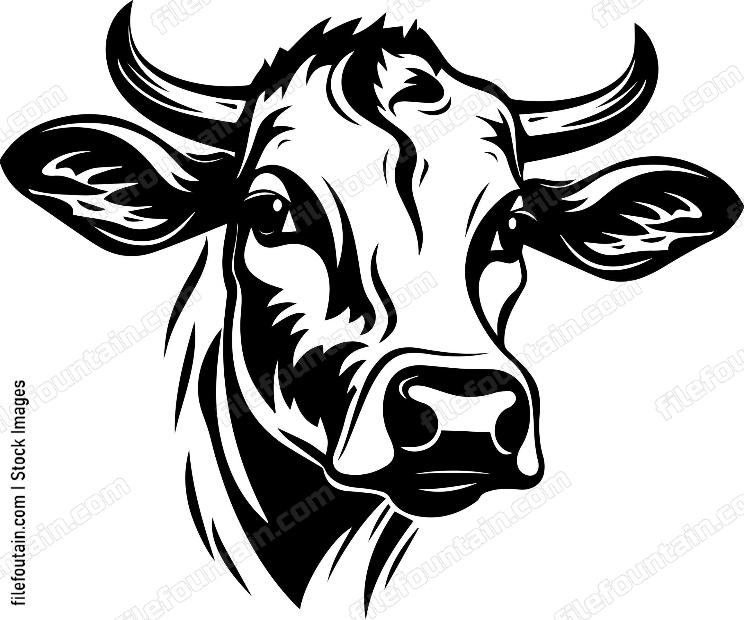Cow Head