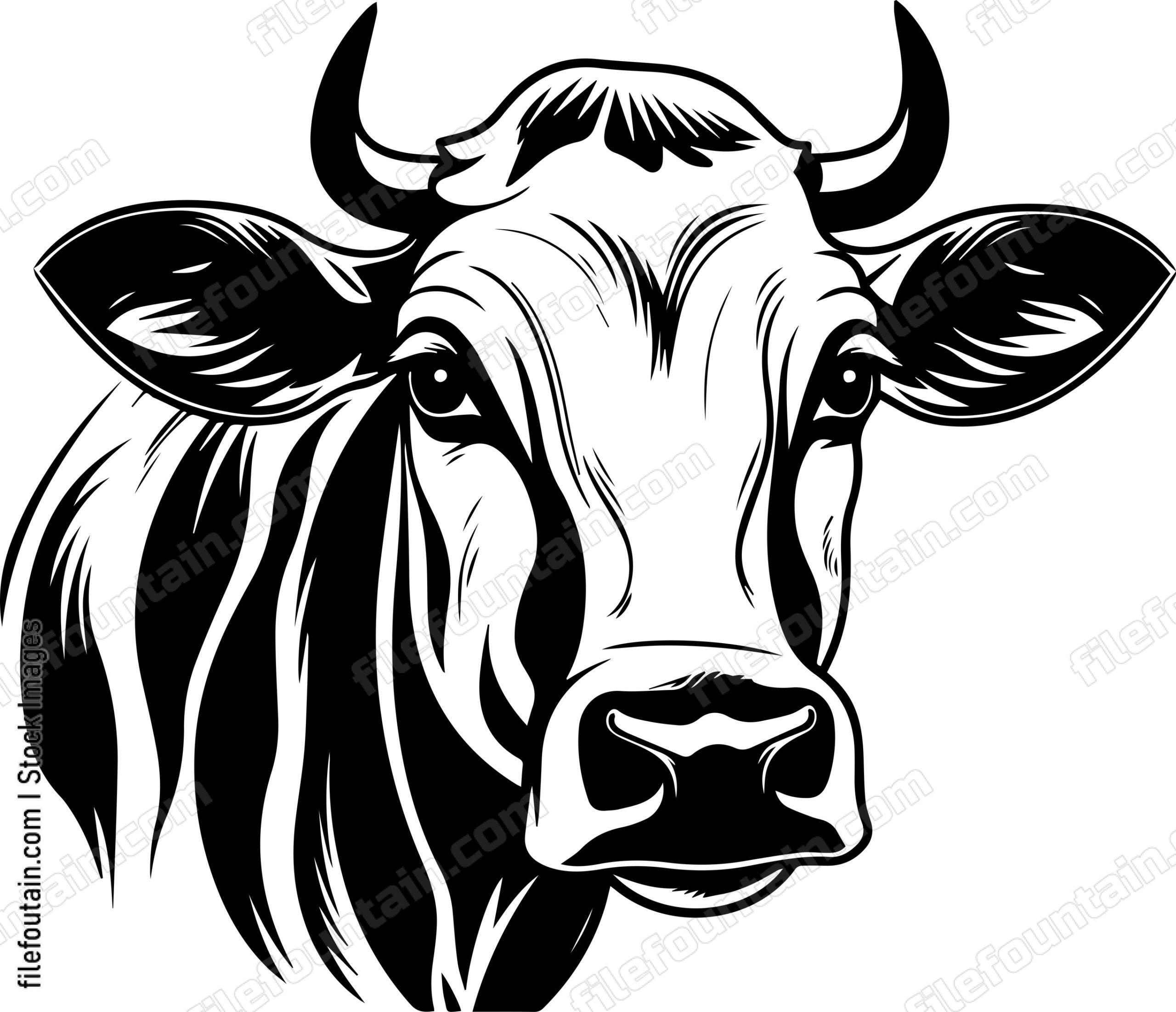 Cow Head