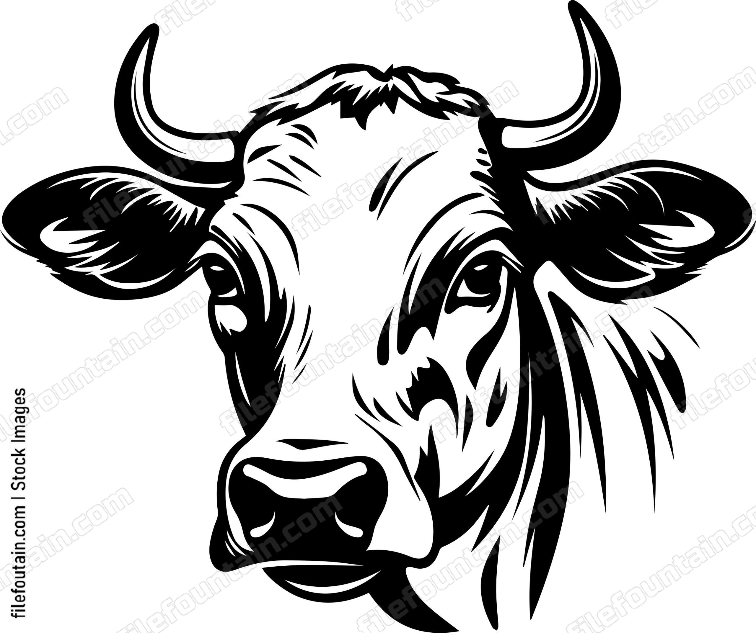 Cow Head