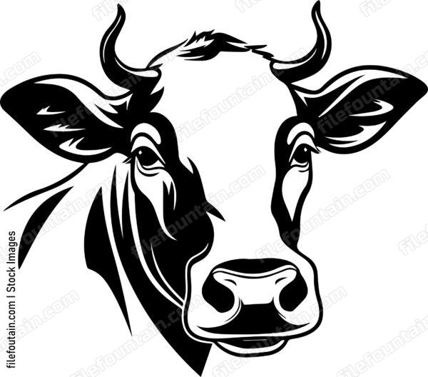 Cow Head