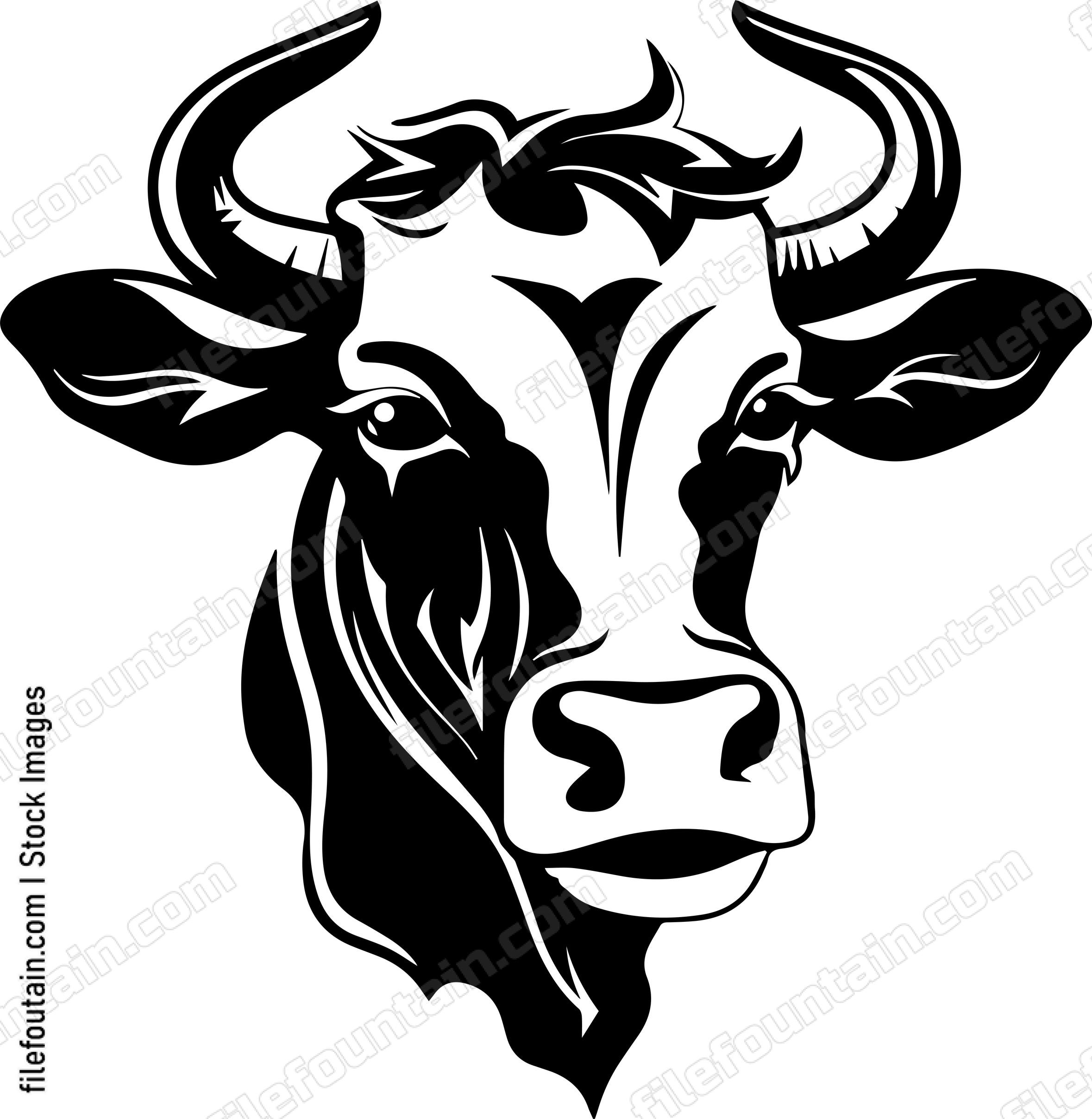 Cow Smoking A Cigar