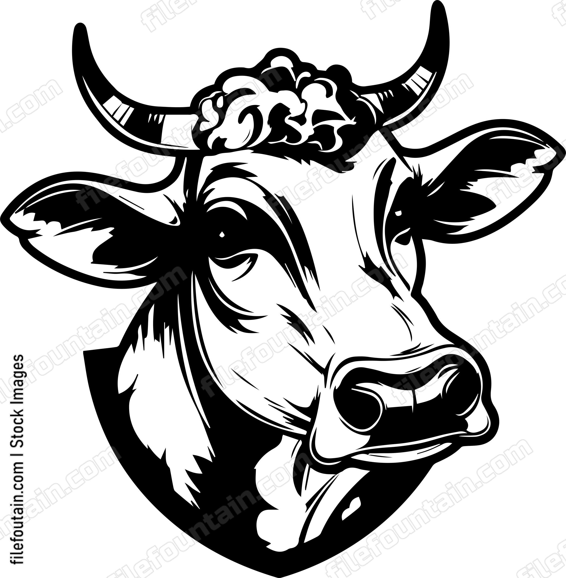 Cow Smoking A Cigar