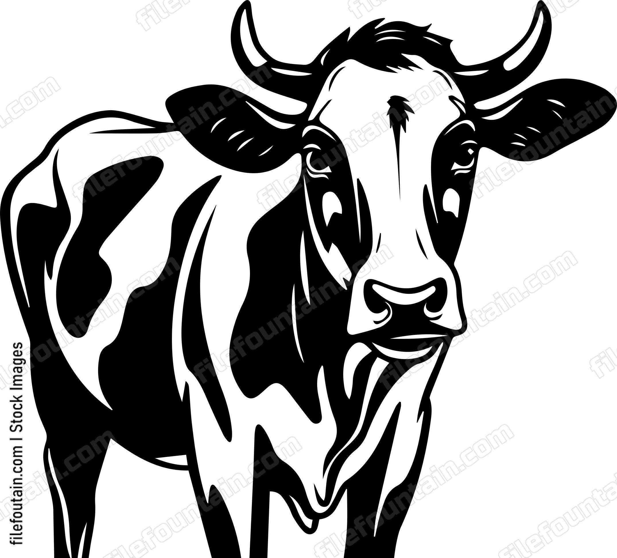 Cow Standing