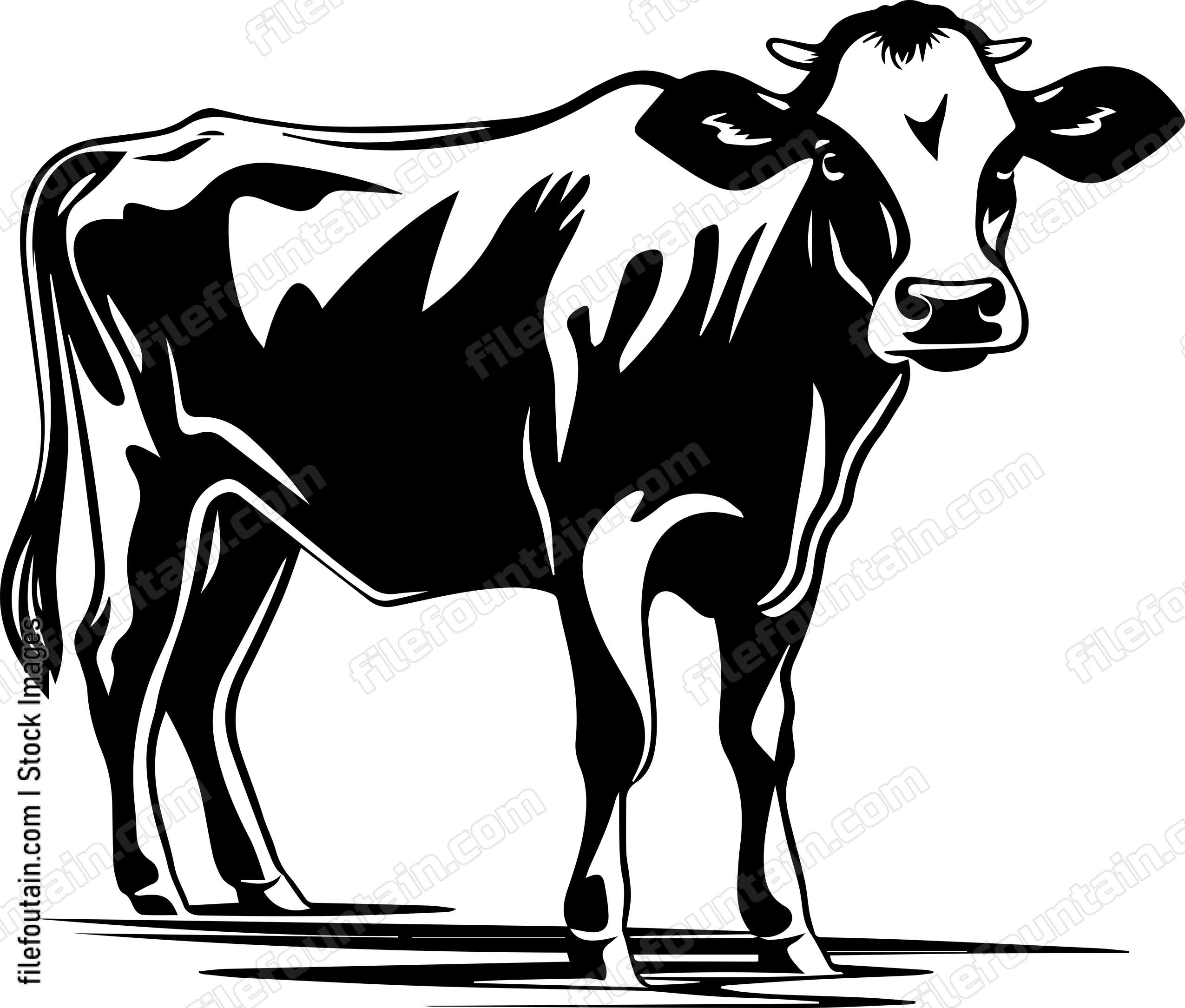 Cow Standing
