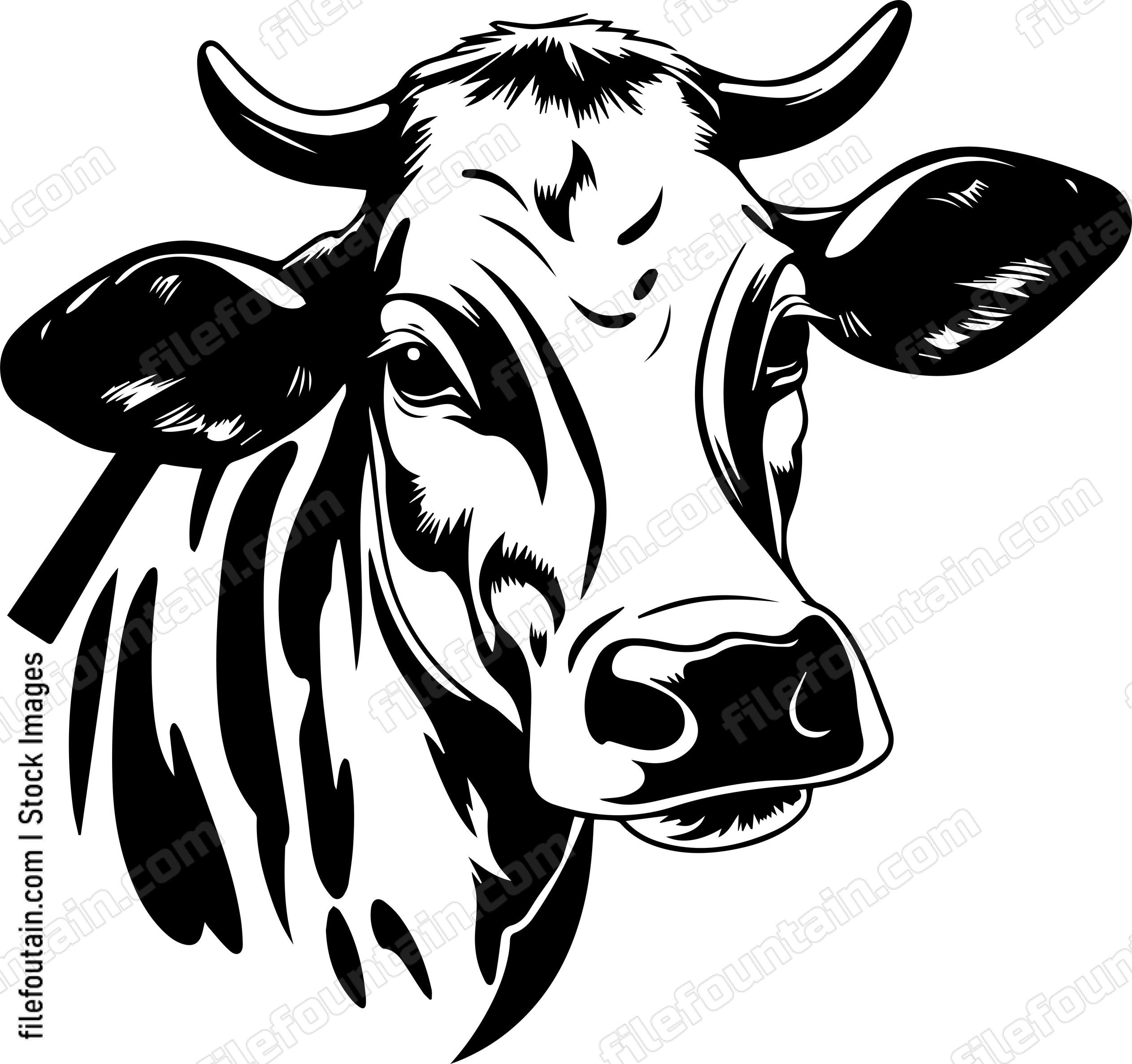 Cow