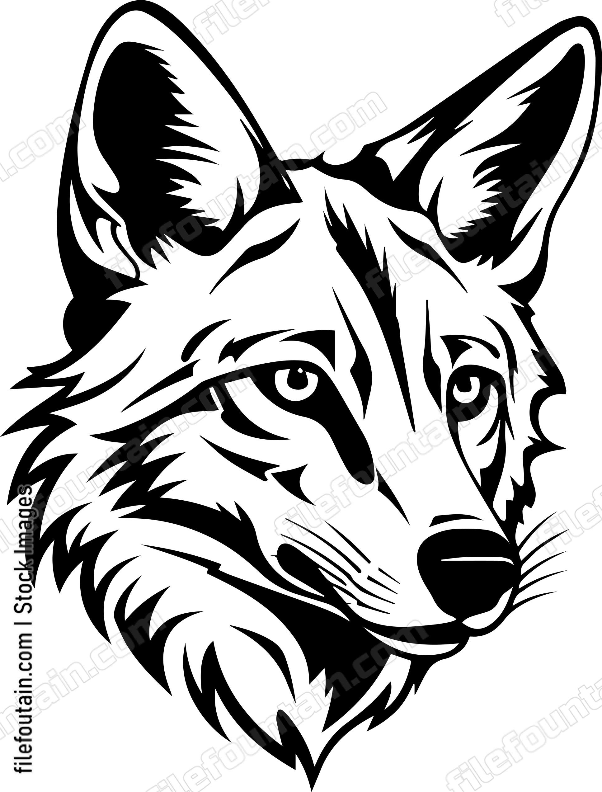 Coyote