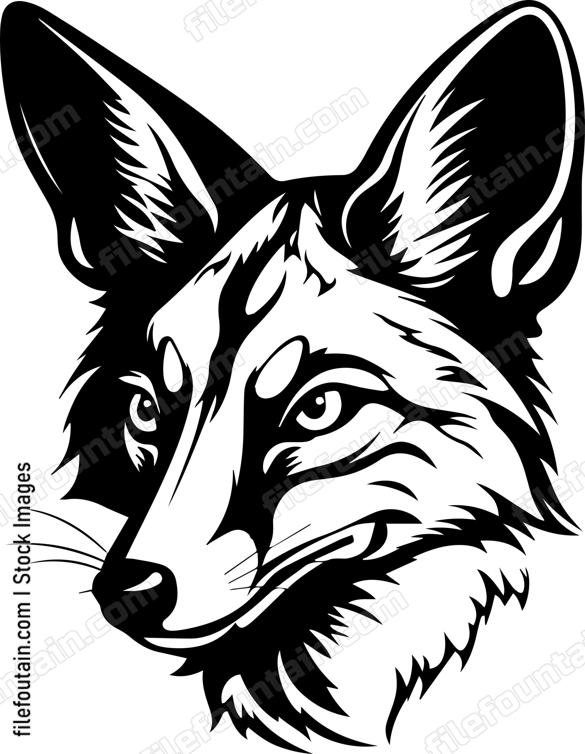 Coyote
