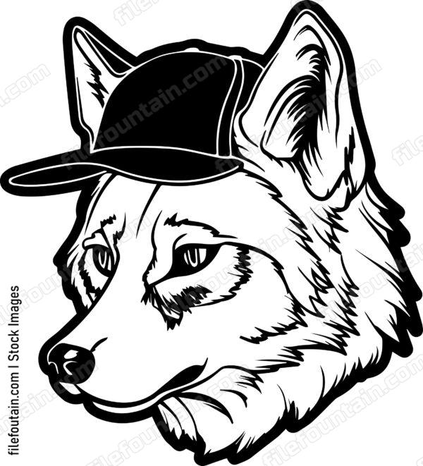 Coyote In Baseball Cap