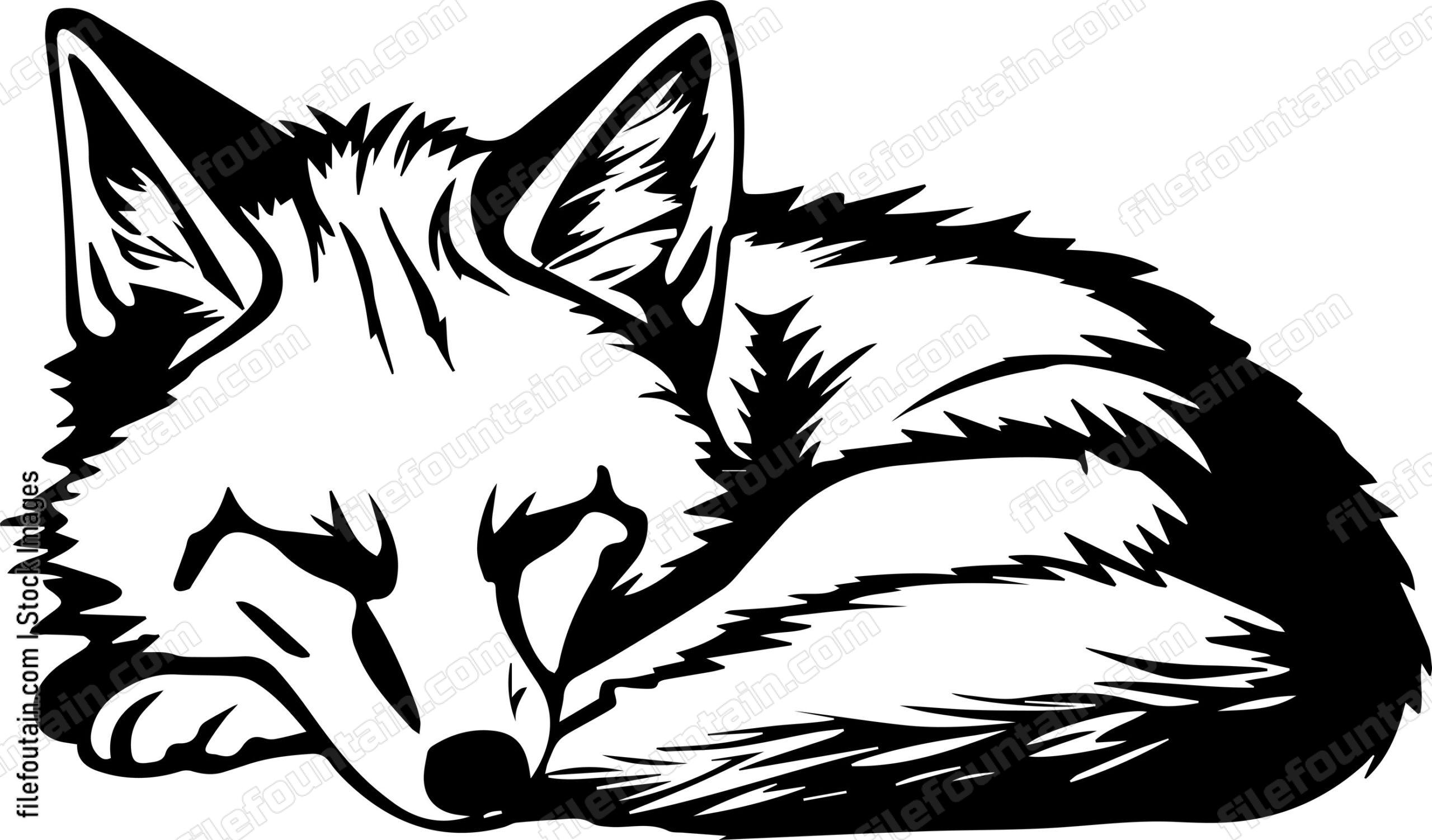 Coyote Sleeping