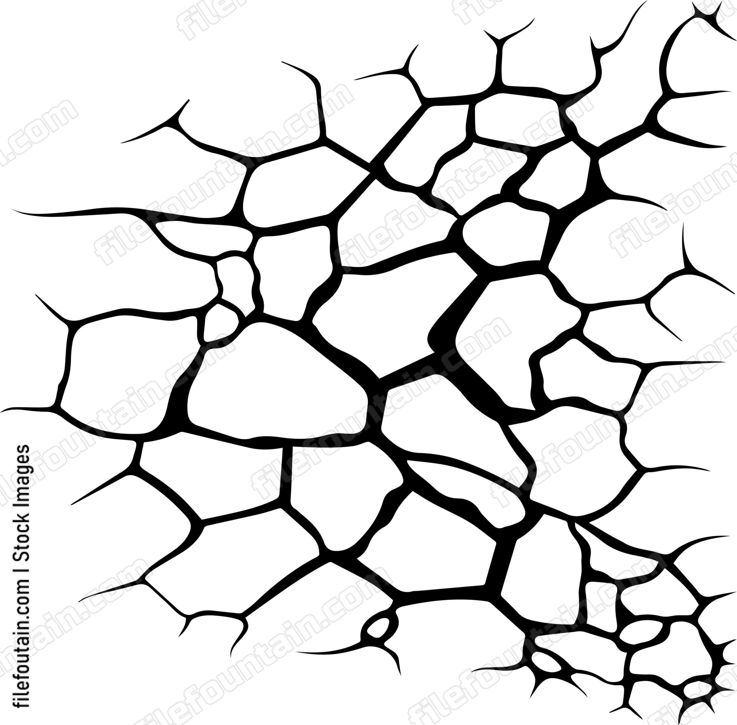 Cracked Desert Floor