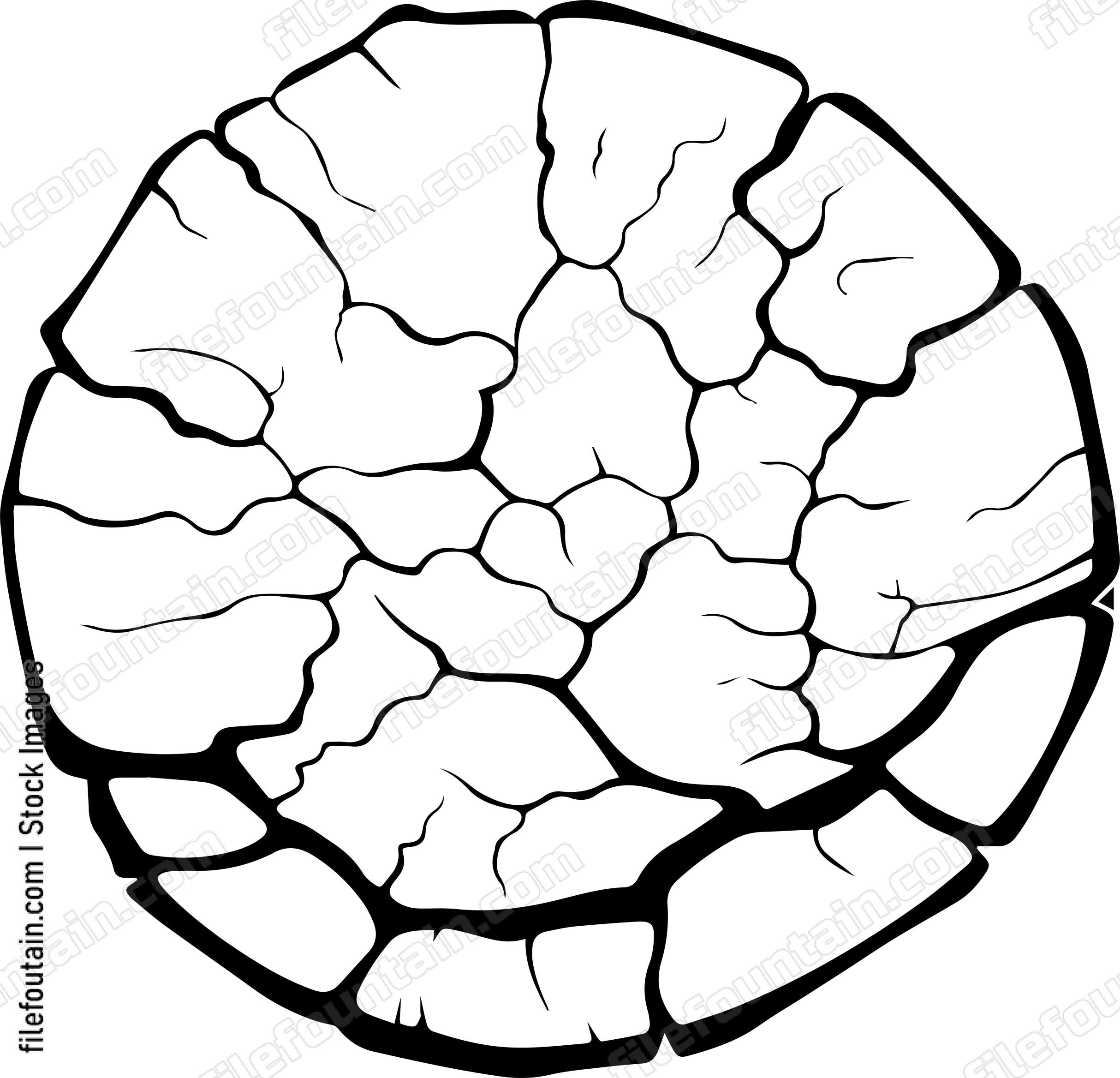Cracked Plate