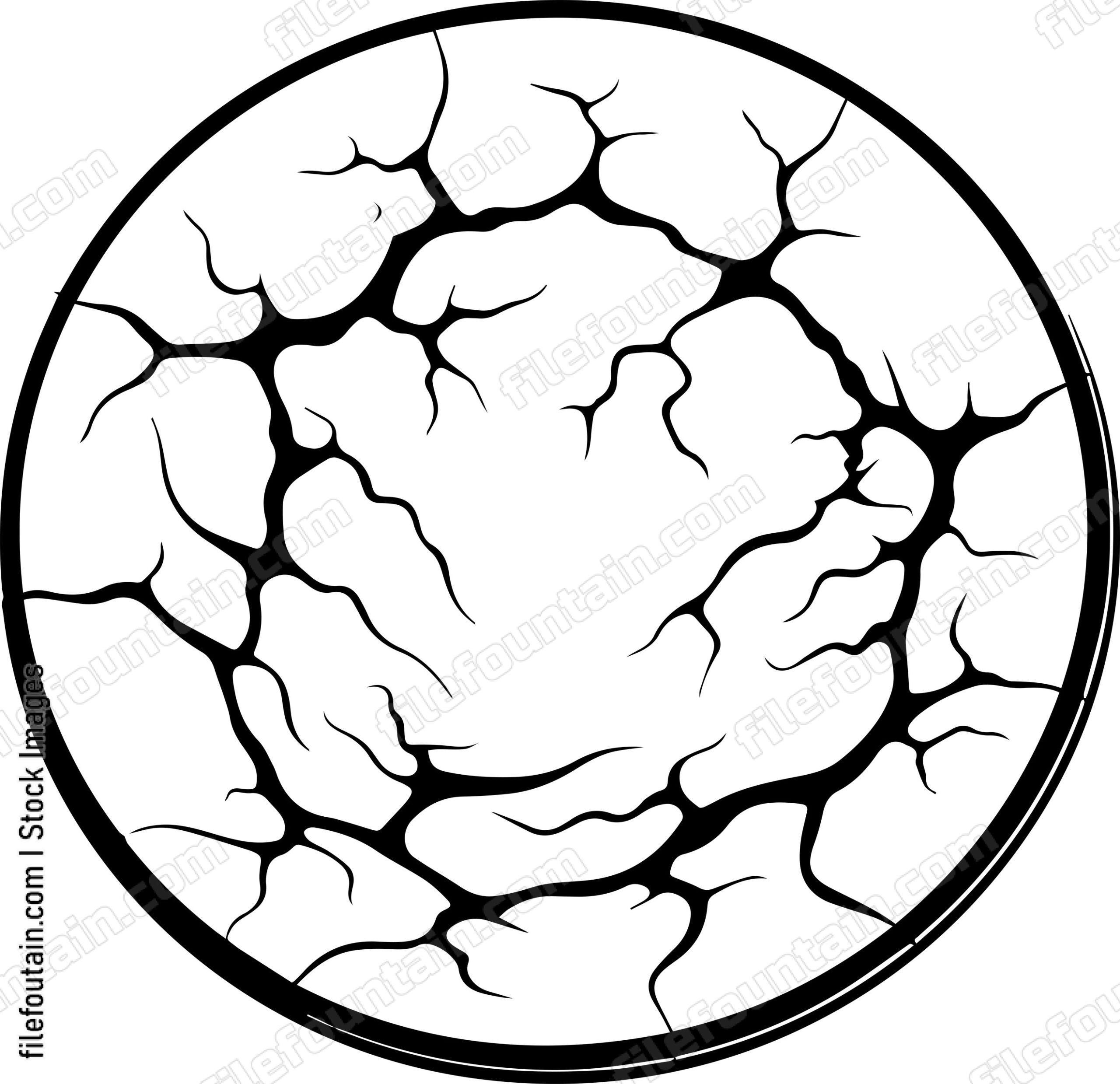 Cracked Plate