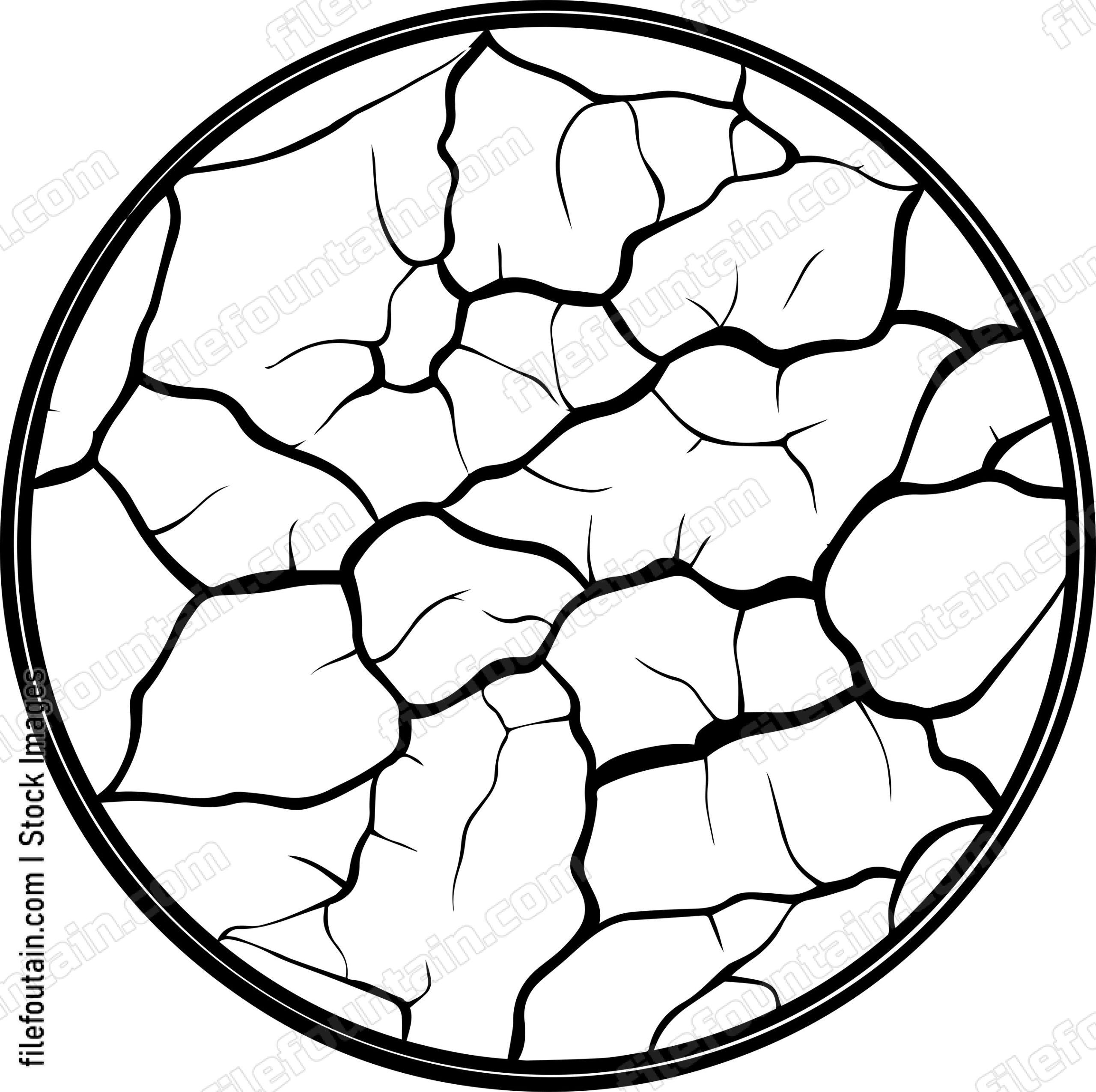 Cracked Plate