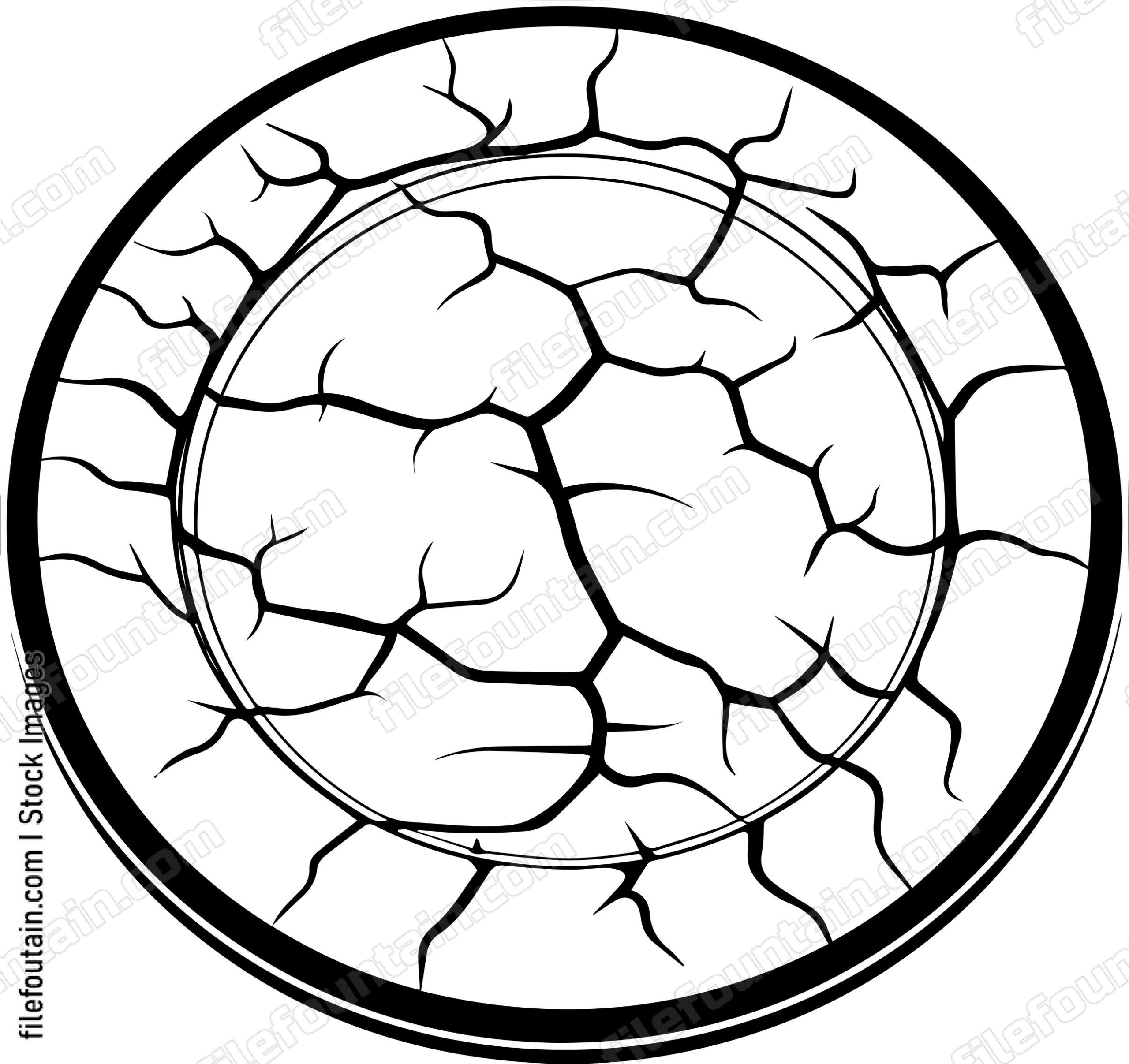 Cracked Plate