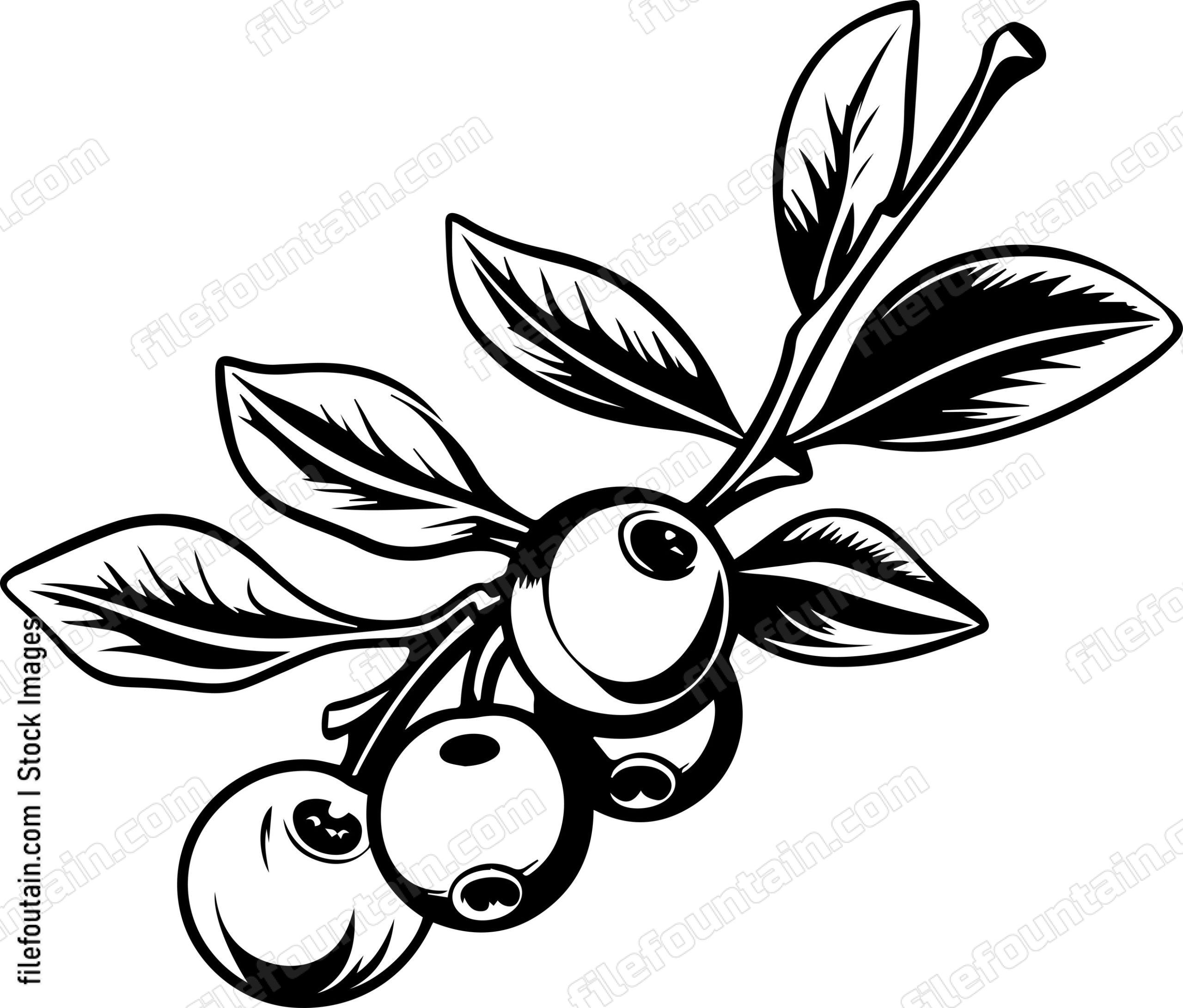 Cranberry