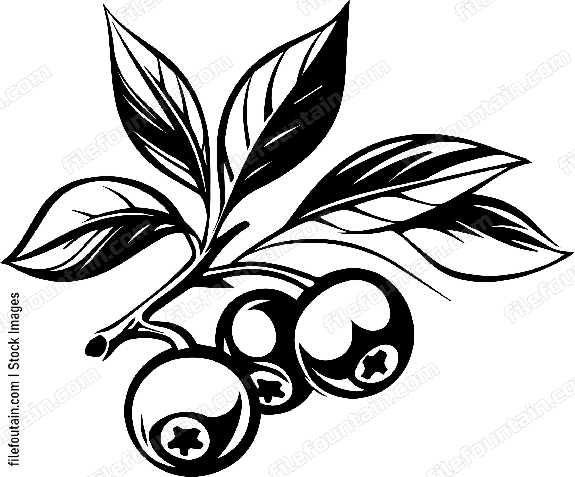 Cranberry