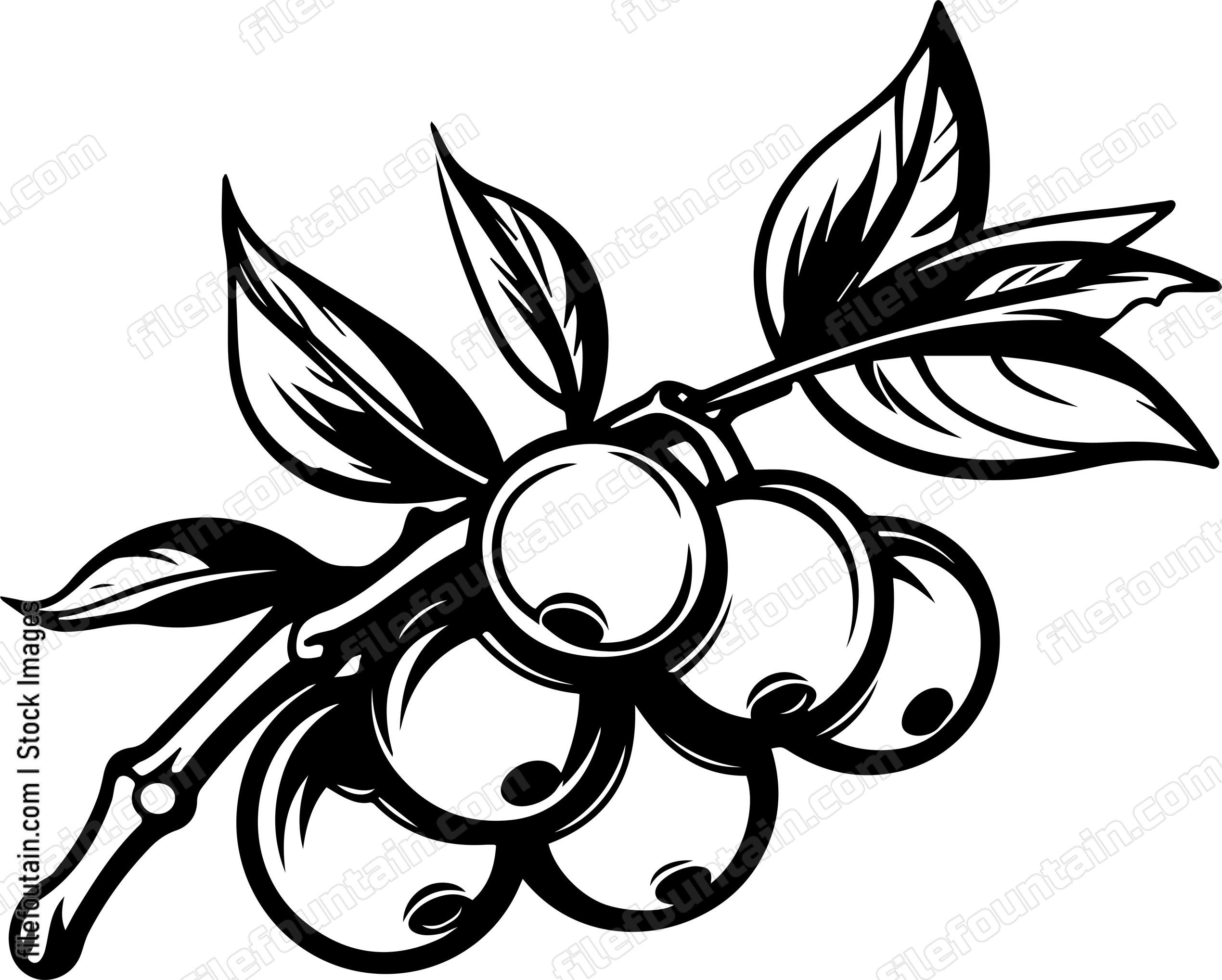 Cranberry