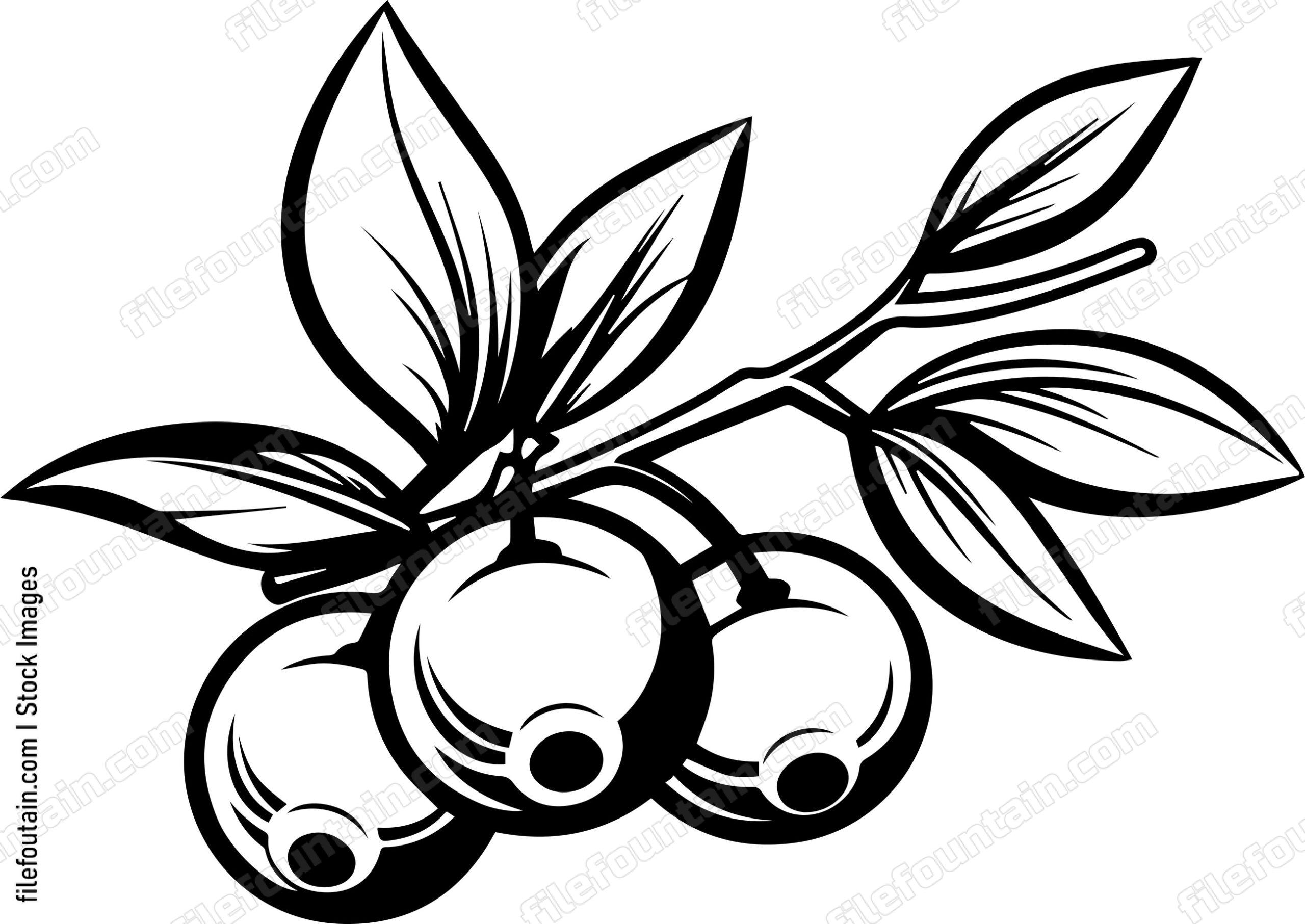 Cranberry