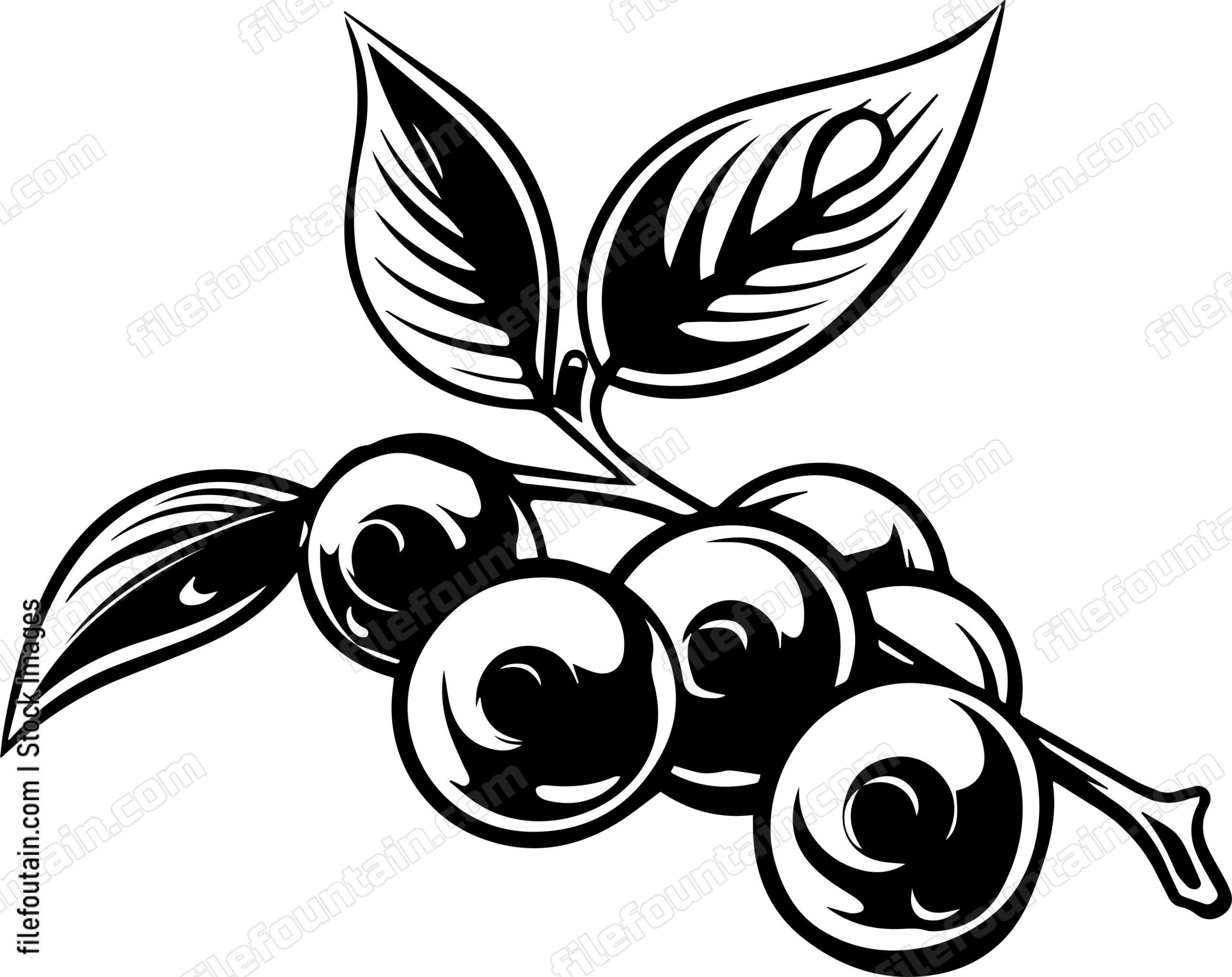 Cranberry