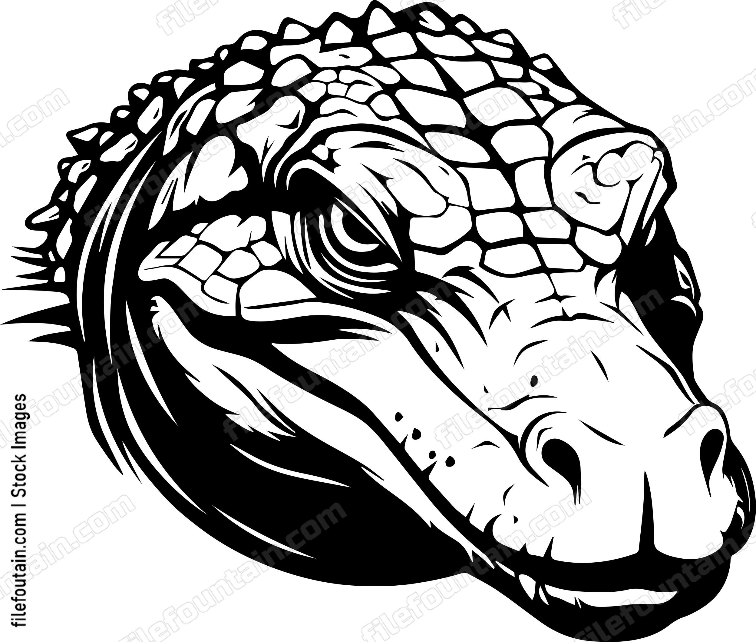 Crocodile