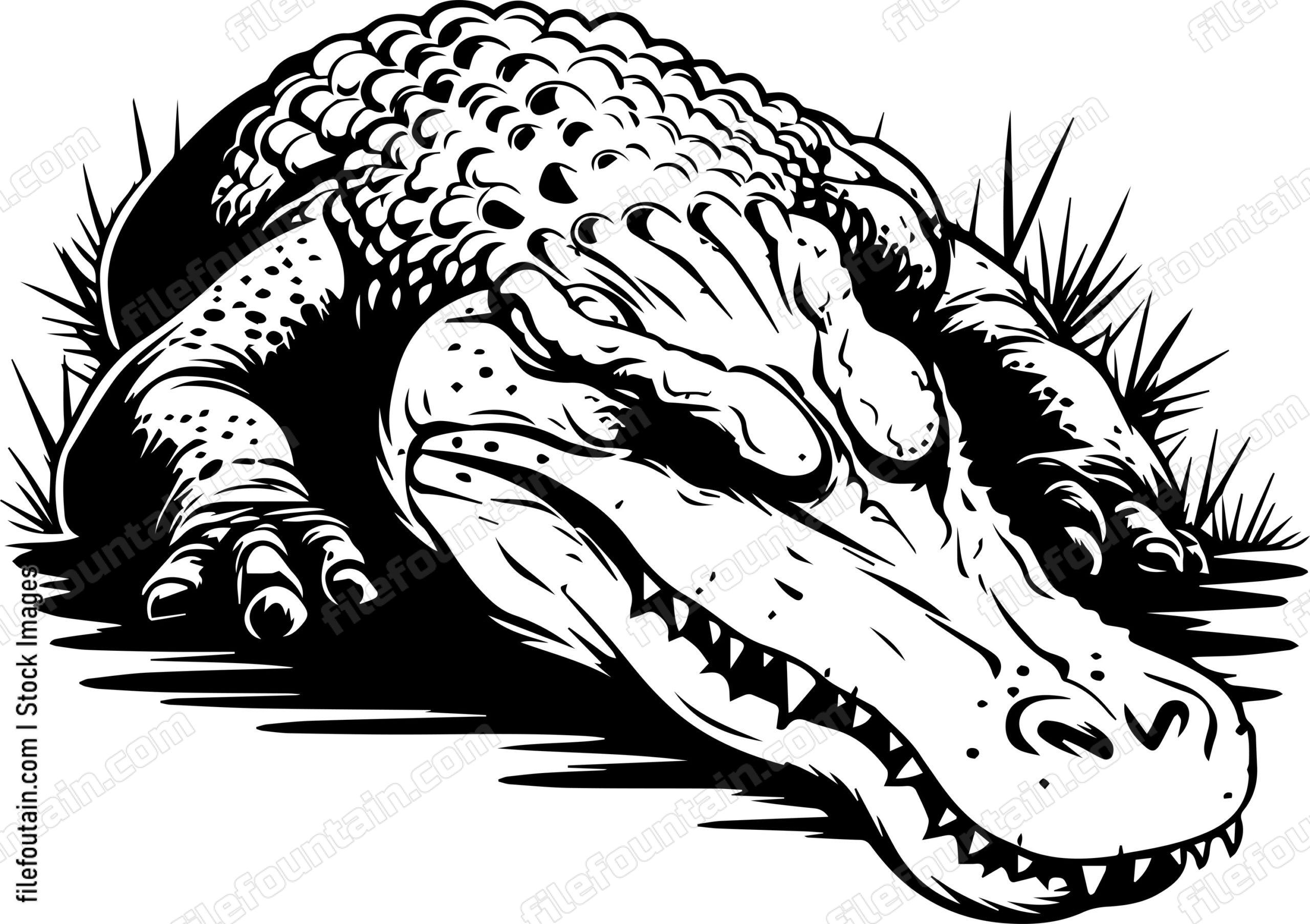 Crocodile Sleeping