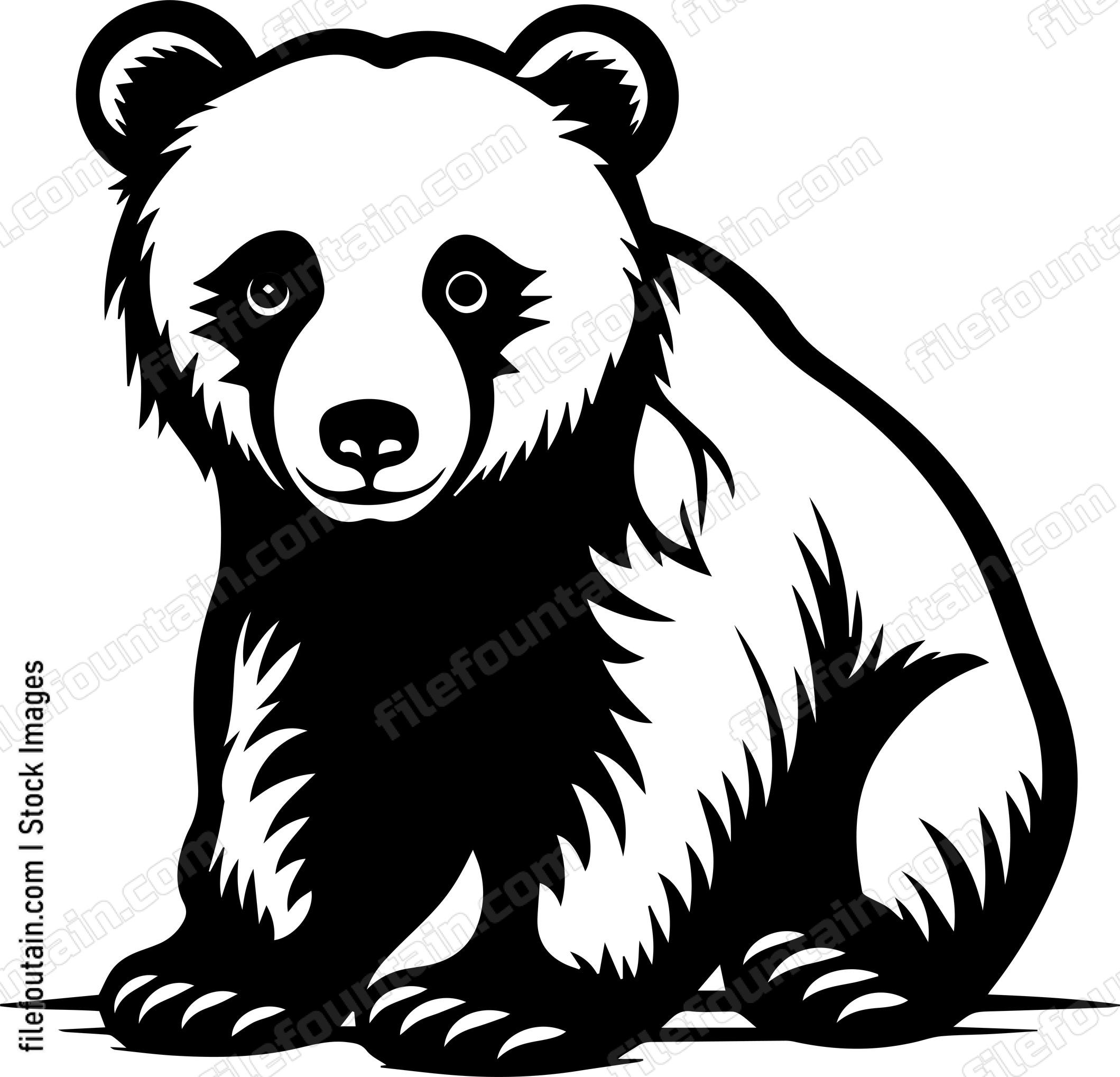 Cute Baby Bear