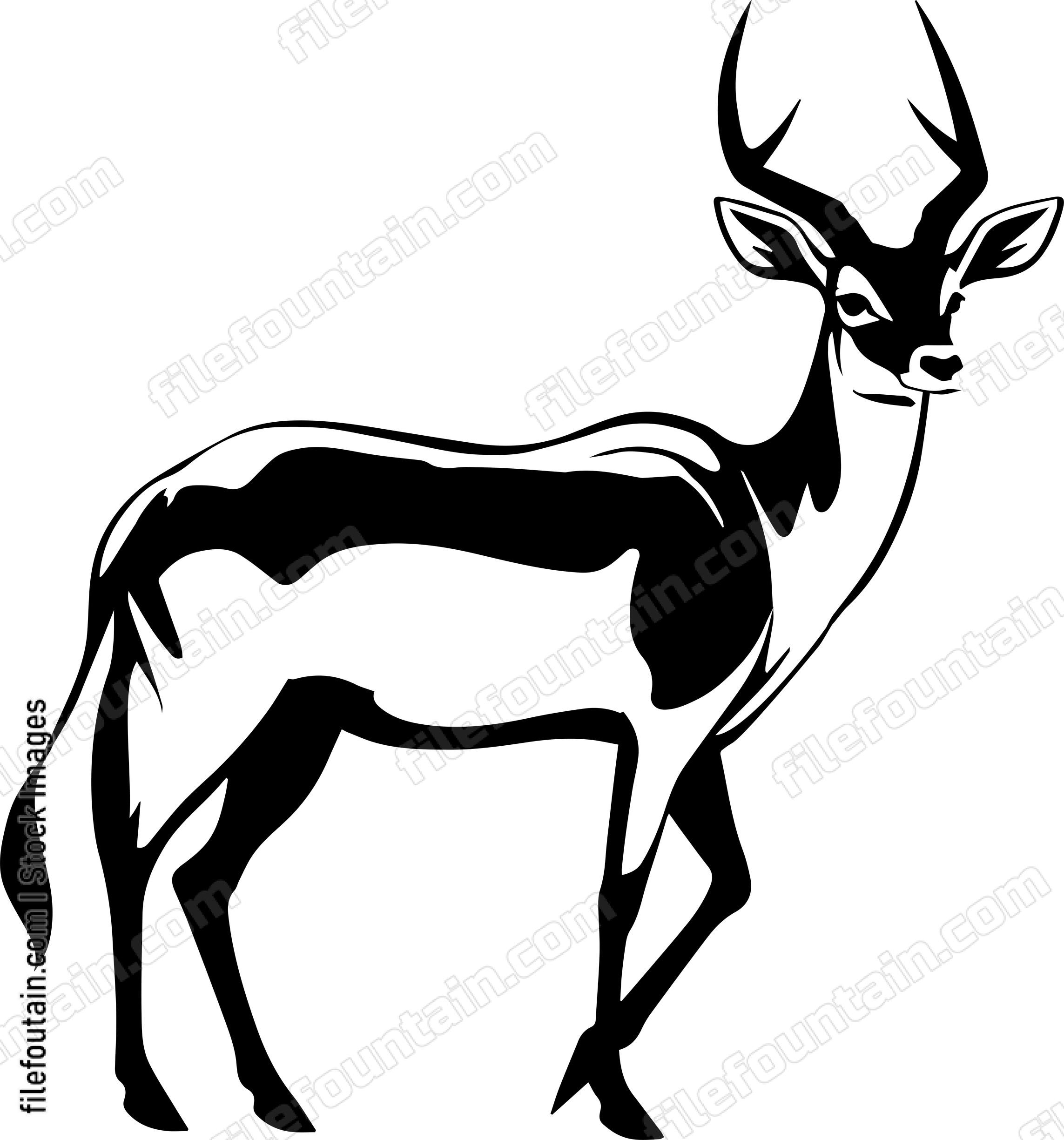 Deer