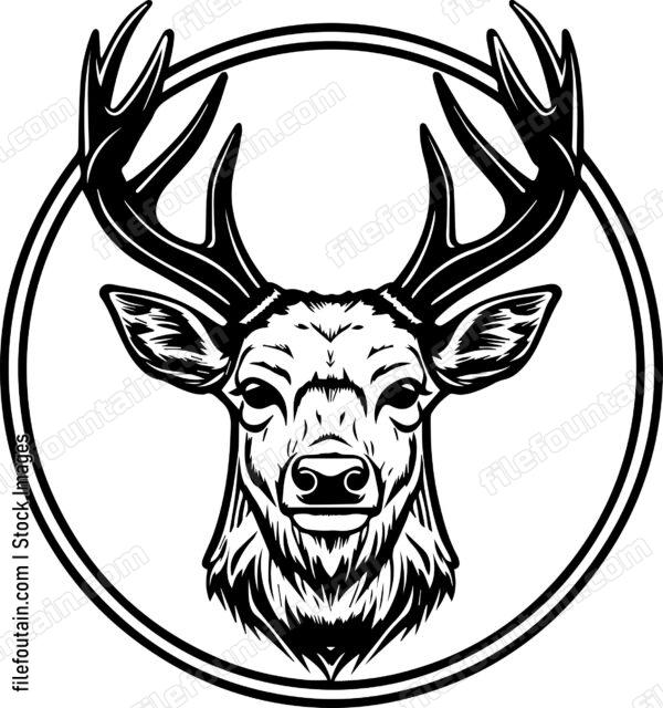 Deer In Baseball Cap