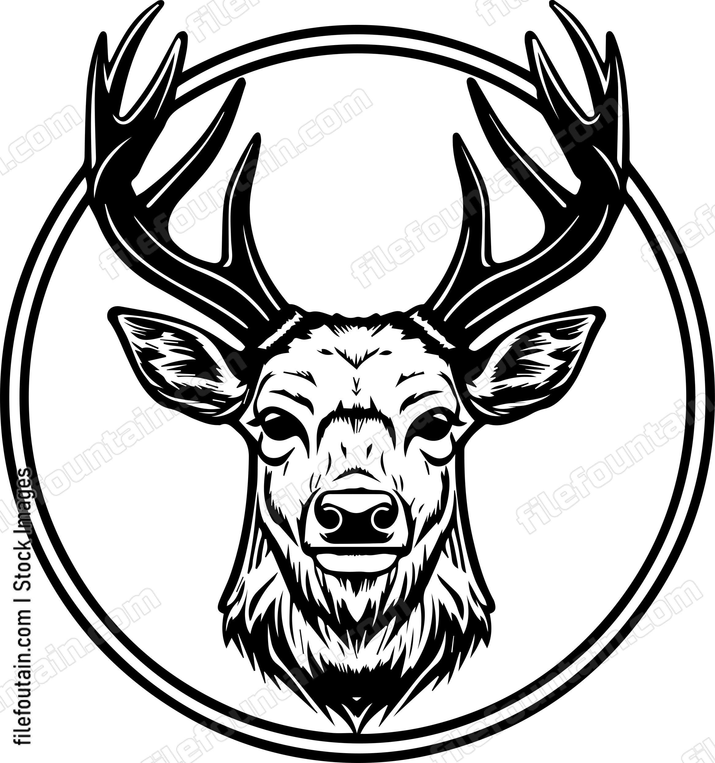 Deer In Baseball Cap