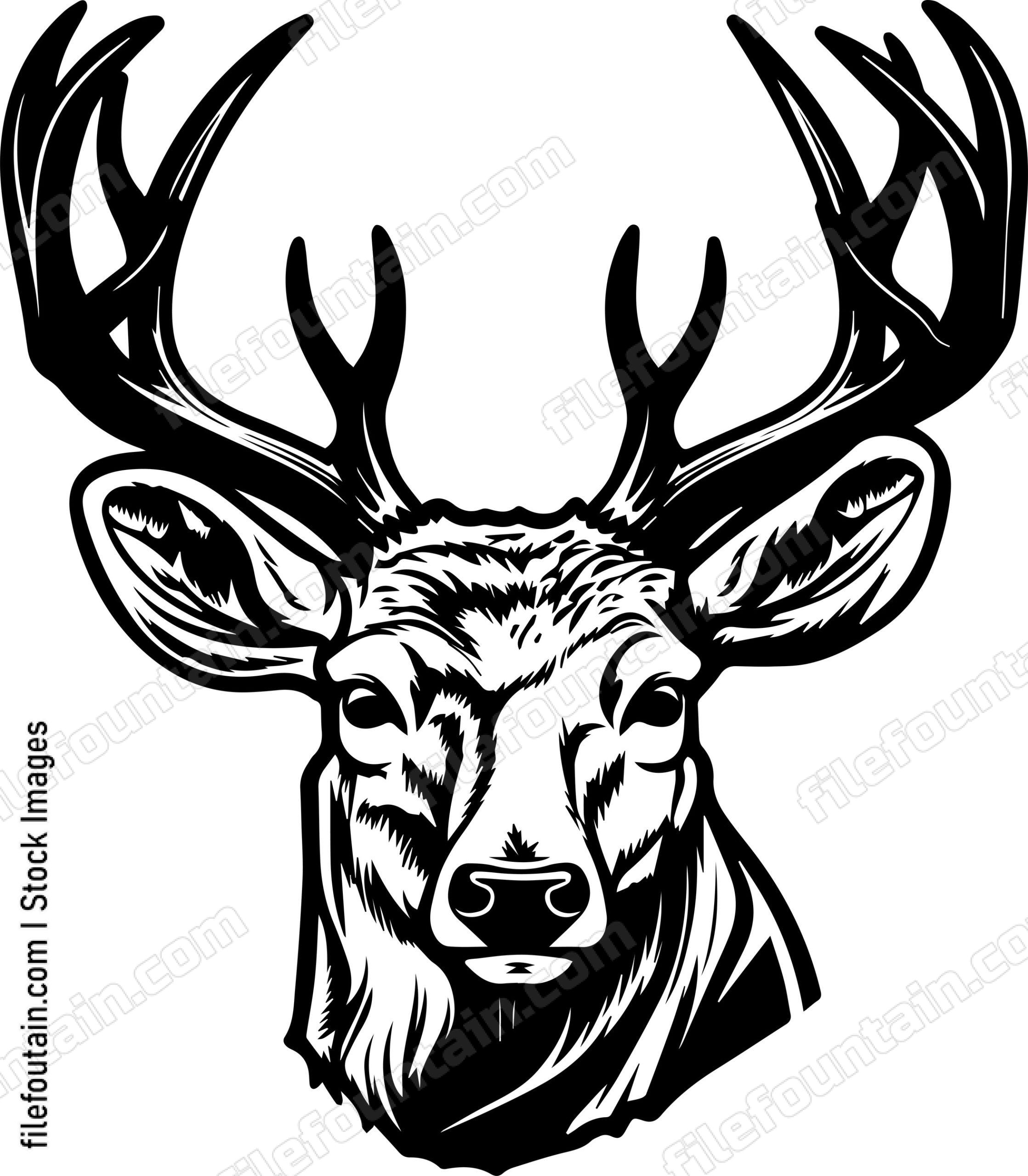 Deer In Baseball Cap