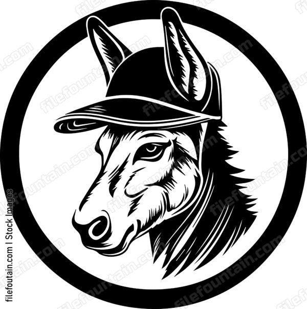 Donkey In Baseball Cap