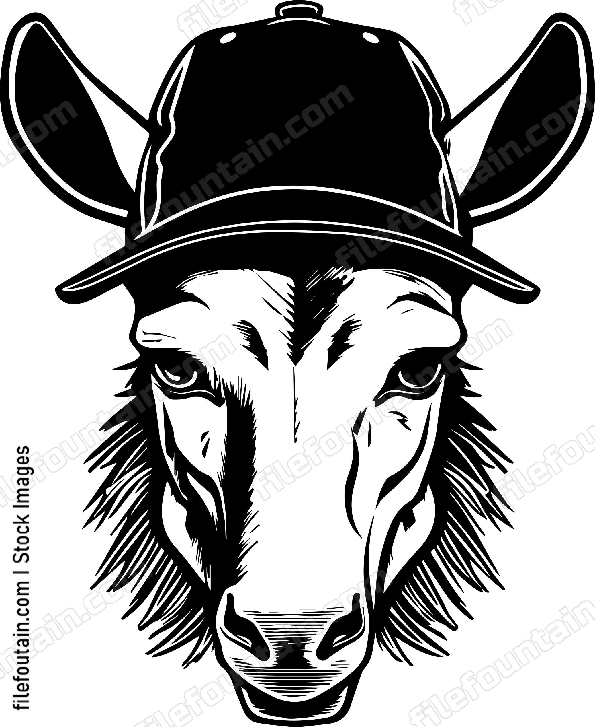 Donkey In Baseball Cap
