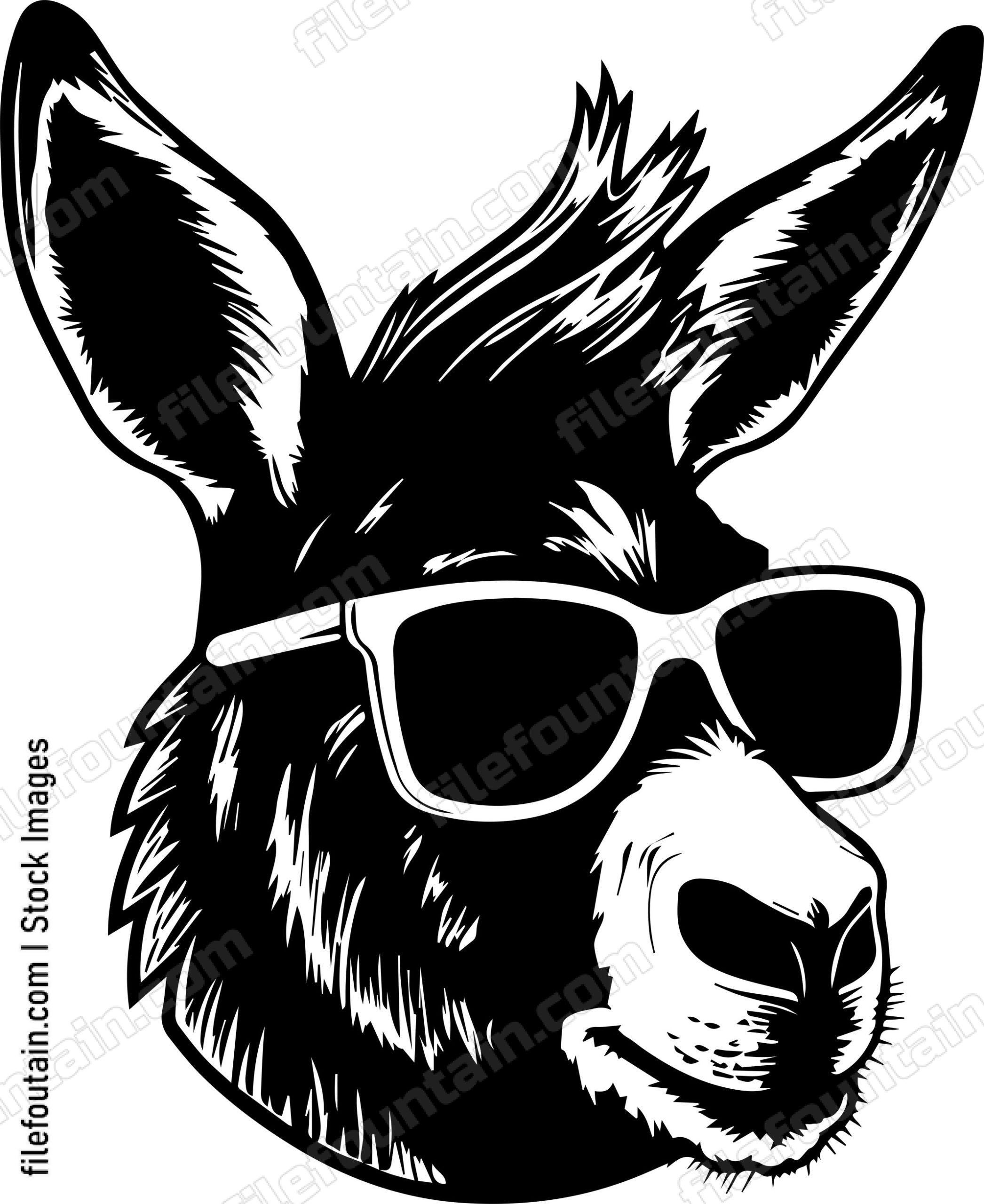 Donkey In Sunglasses