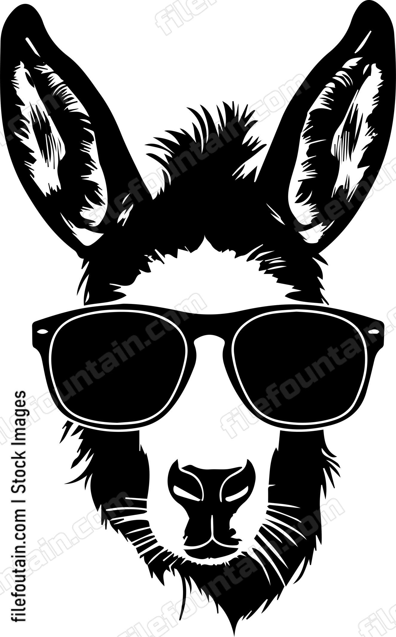 Donkey In Sunglasses