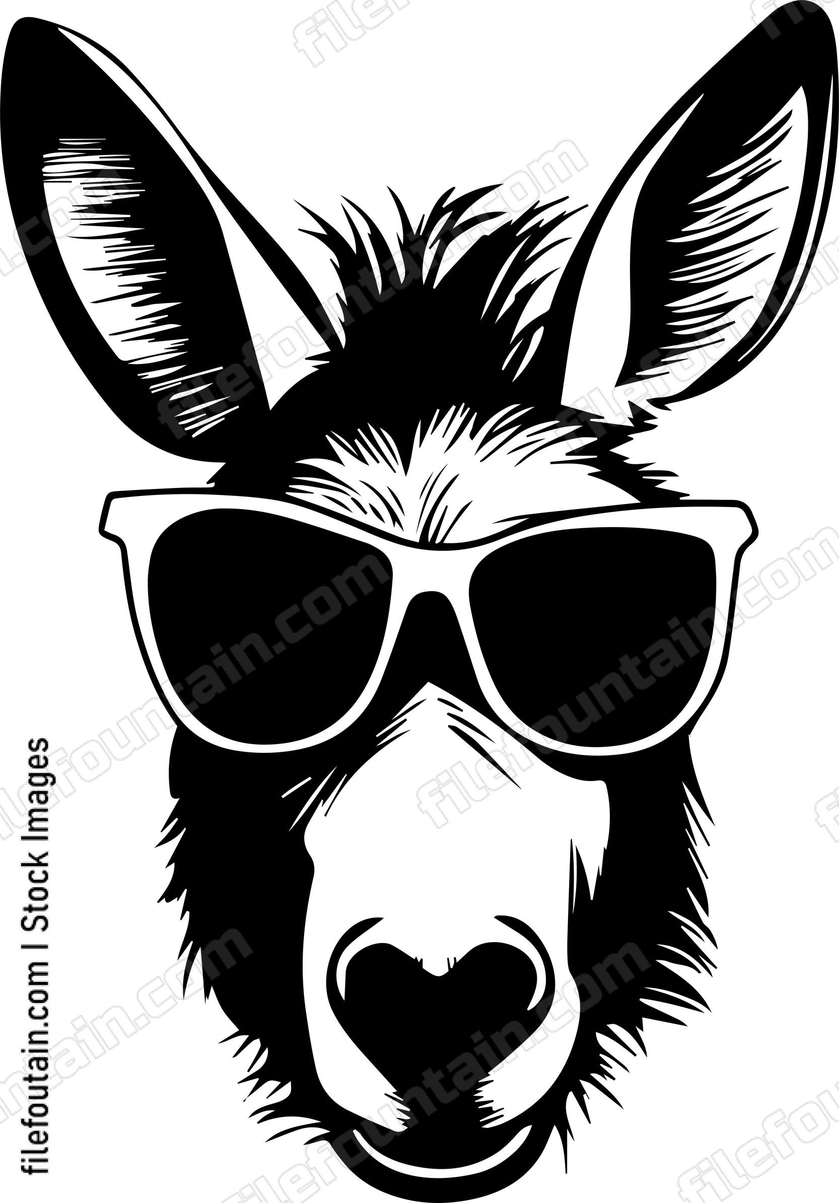 Donkey In Sunglasses