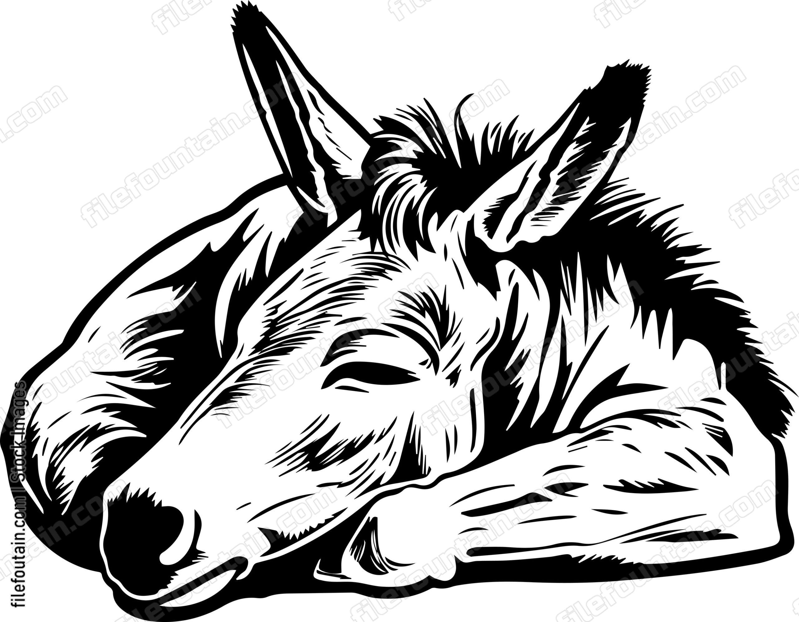 Donkey Sleeping
