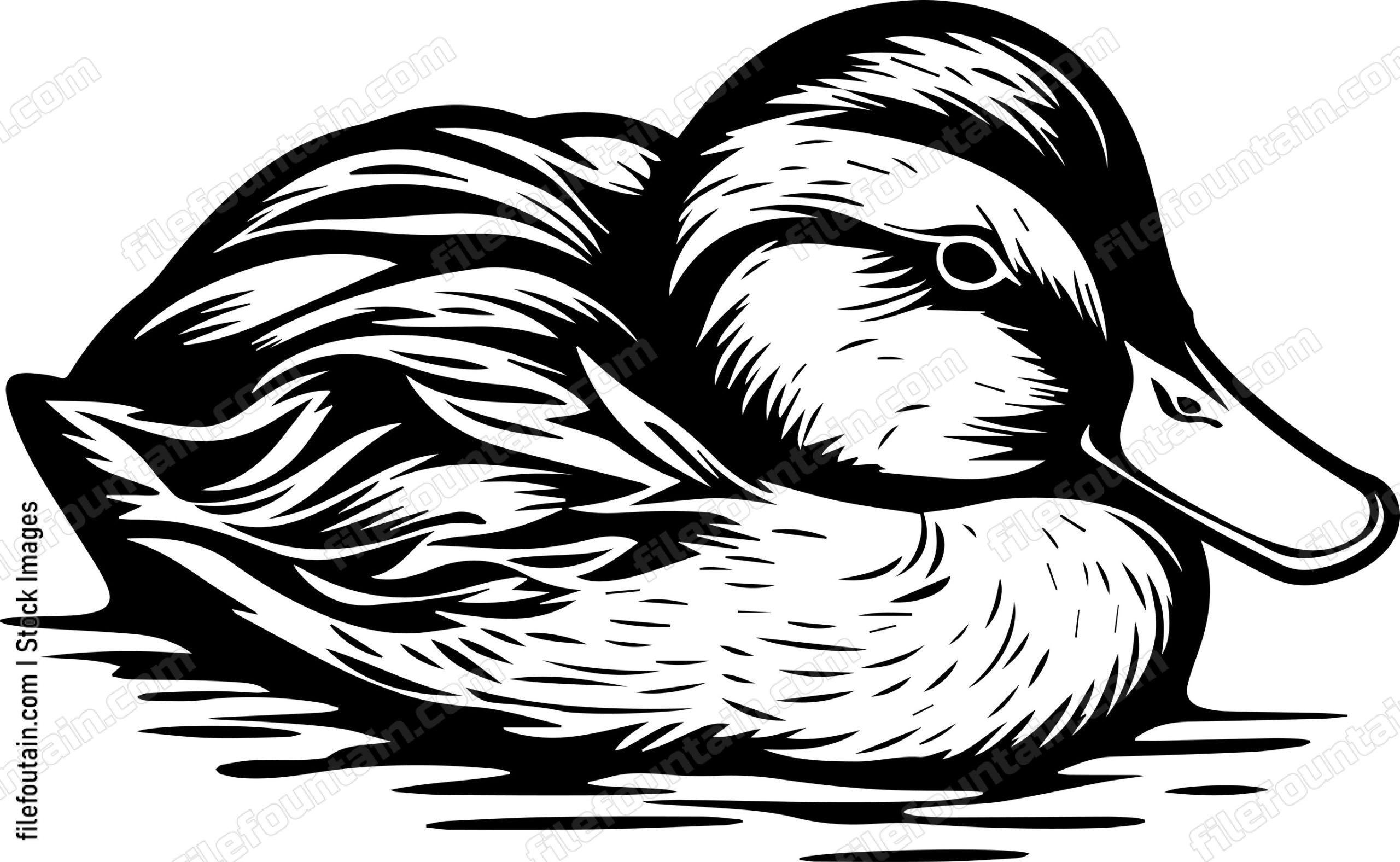 Duck