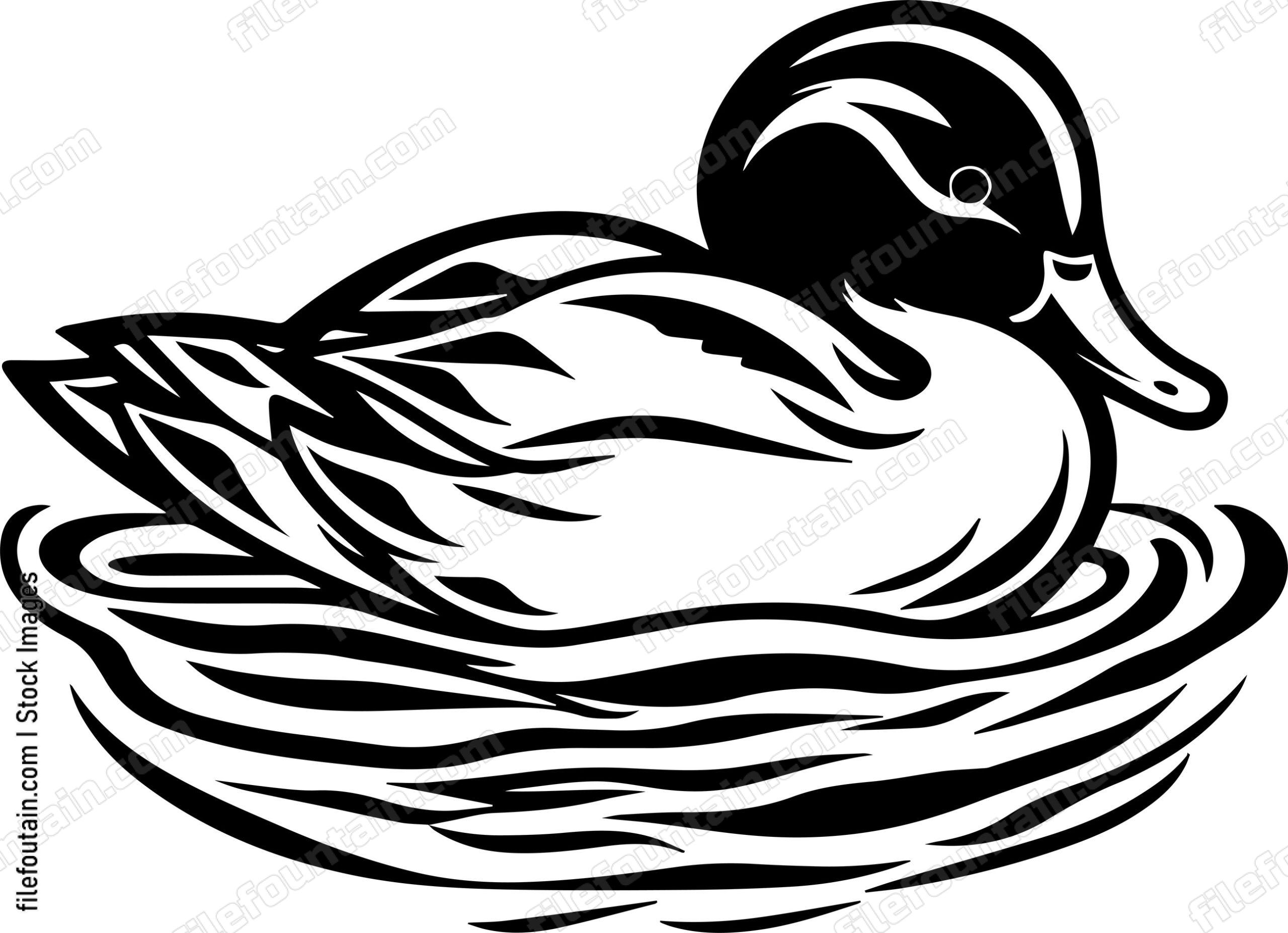 Duck In Water