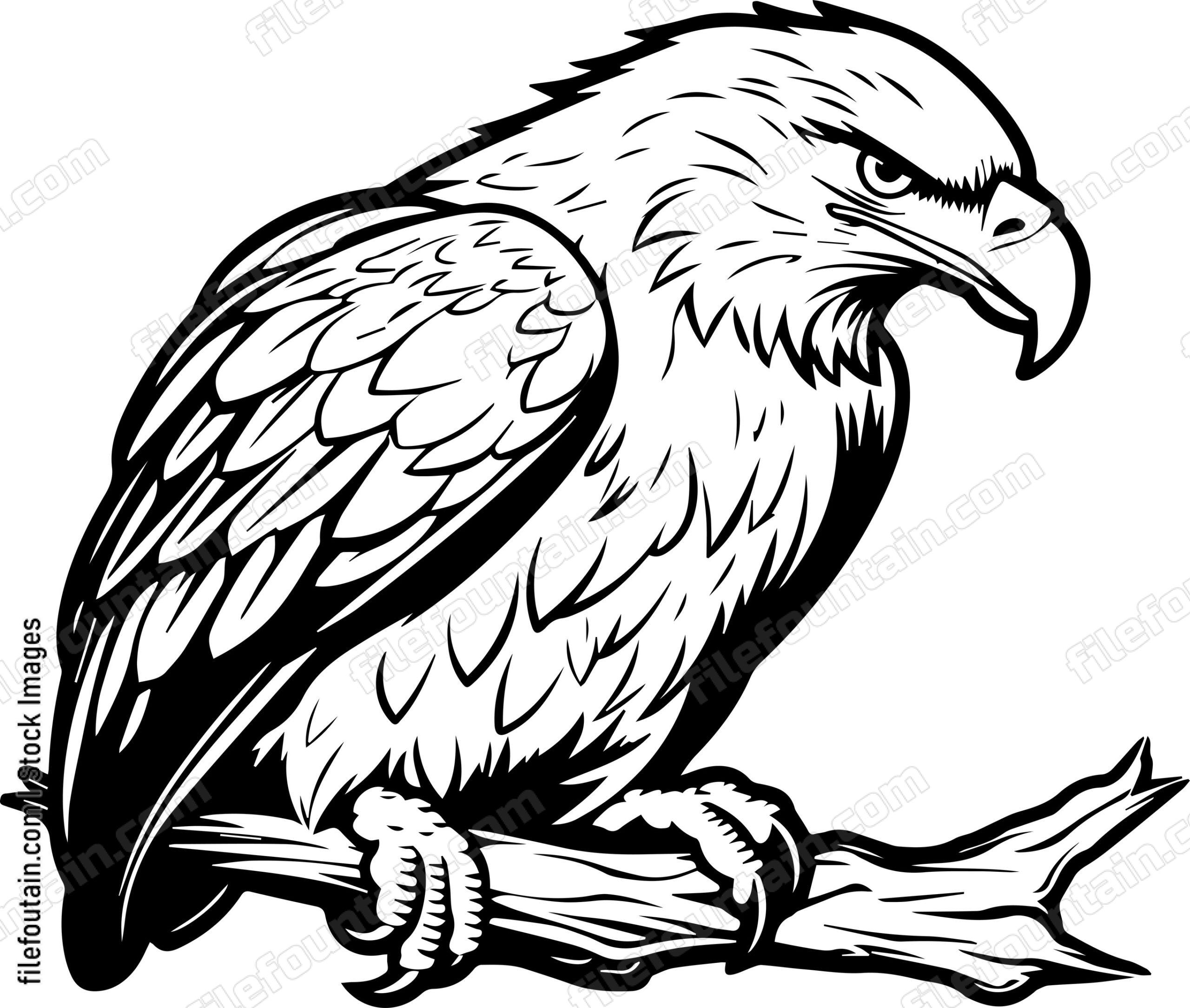 Eagle Sitting On A Tree Branch