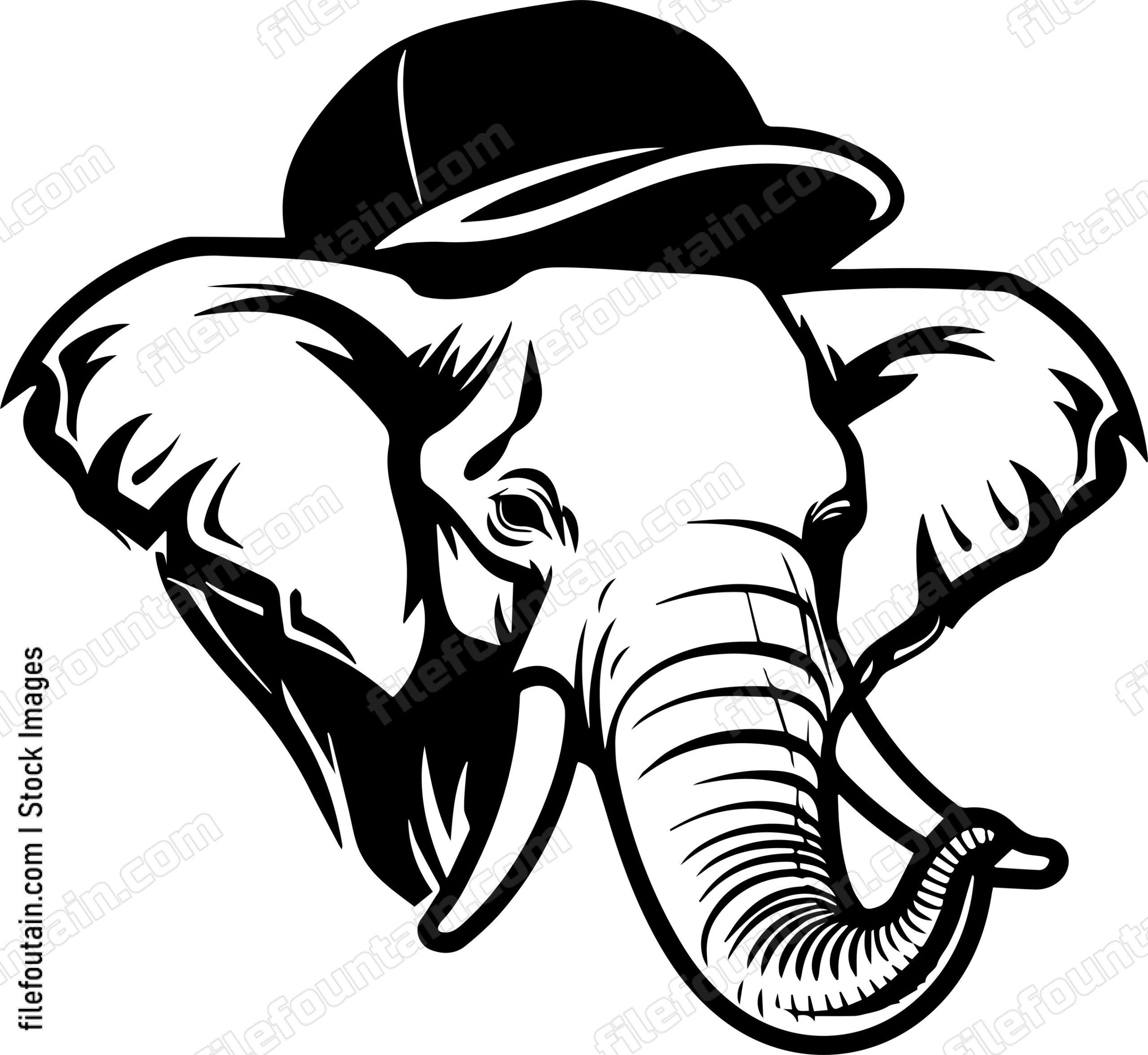 Elephant In Baseball Cap