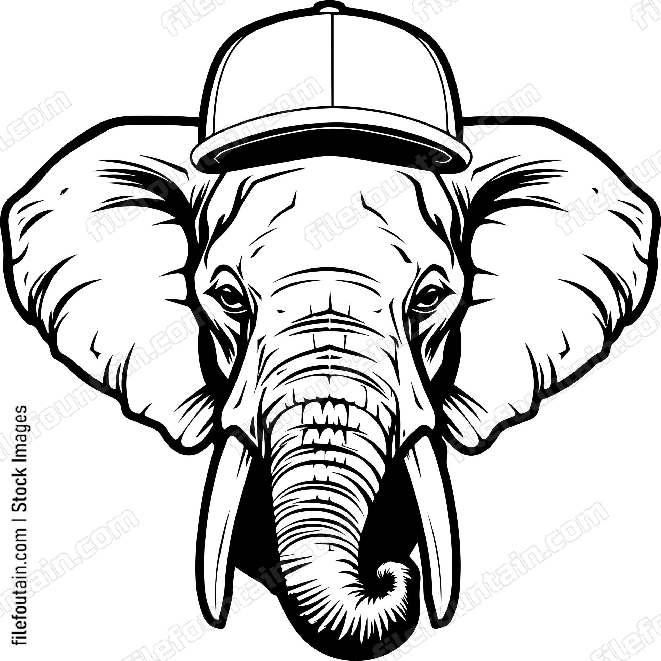Elephant In Baseball Cap