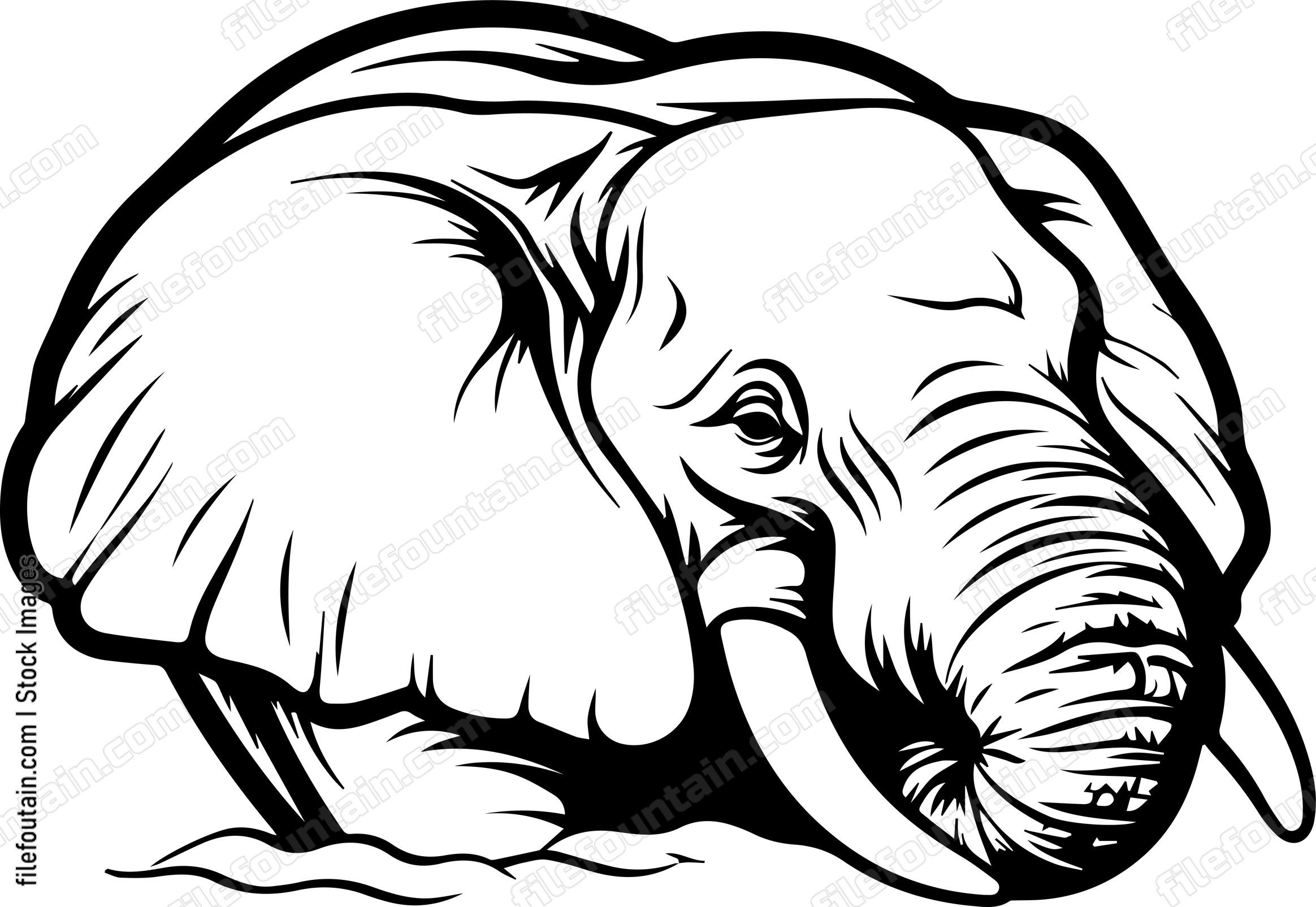 Elephant Laying Down
