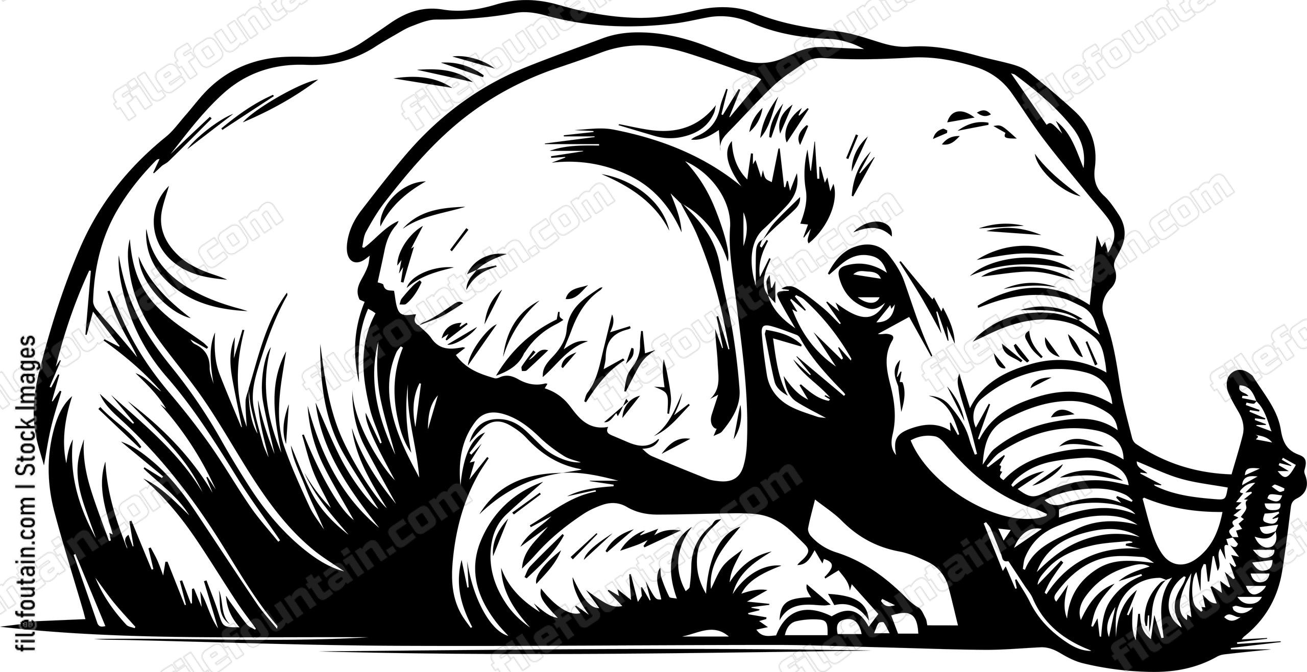 Elephant Sleeping
